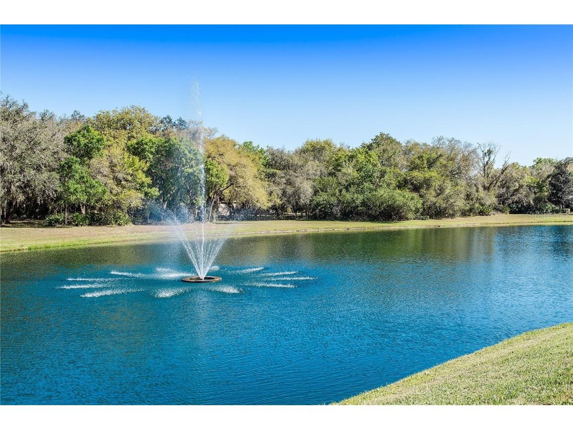 11443 Savannah Lakes Drive Parrish FL 34219 - MANATEE RIVER A4675406 image81