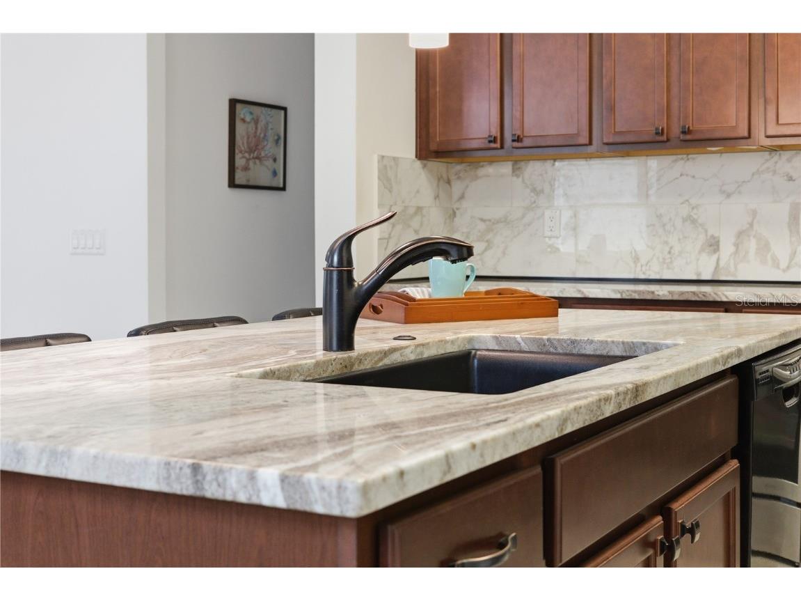 11444 Alachua Creek Lane Riverview FL 33579 TB8410919 image22