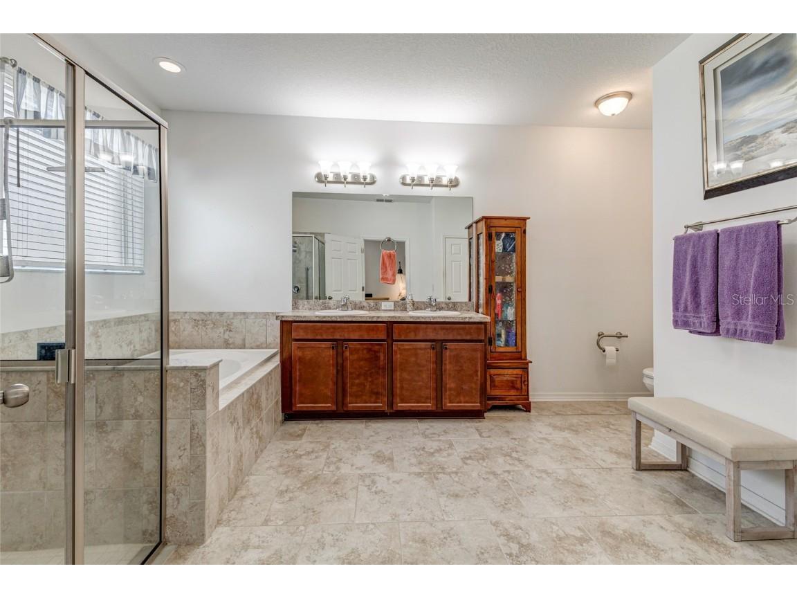 11444 Alachua Creek Lane Riverview FL 33579 TB8410919 image37