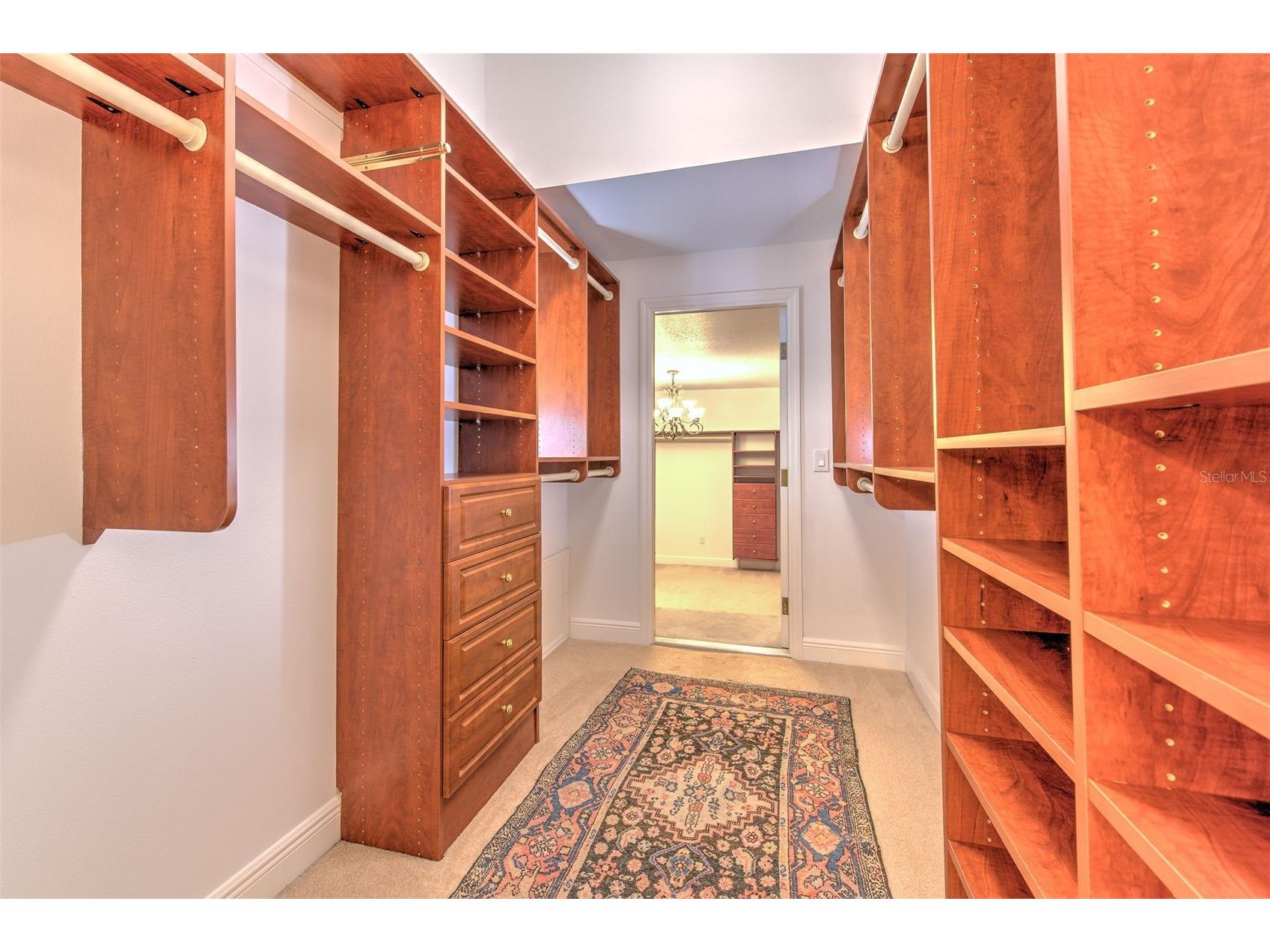 11444 Hammock Oaks Ct Lithia FL 33547 TB8526510 image29
