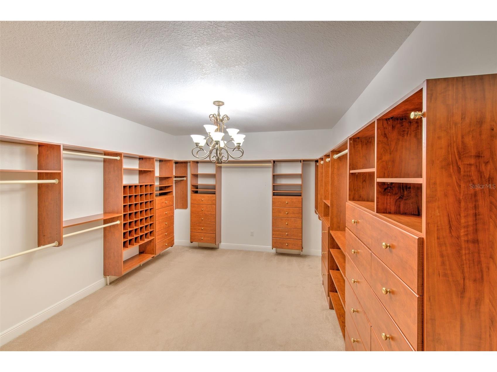 11444 Hammock Oaks Ct Lithia FL 33547 TB8526510 image30
