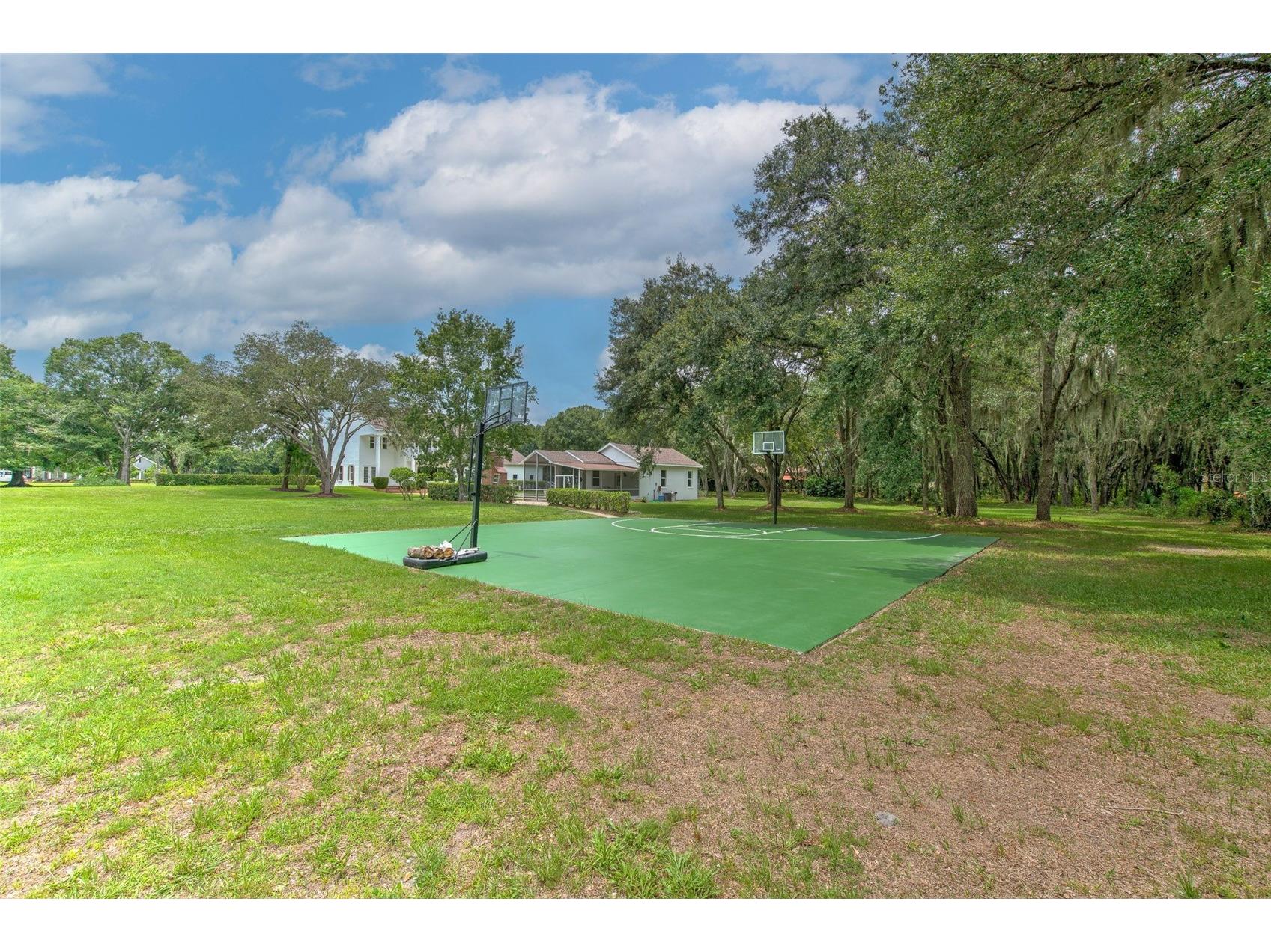 11444 Hammock Oaks Ct Lithia FL 33547 TB8526510 image40
