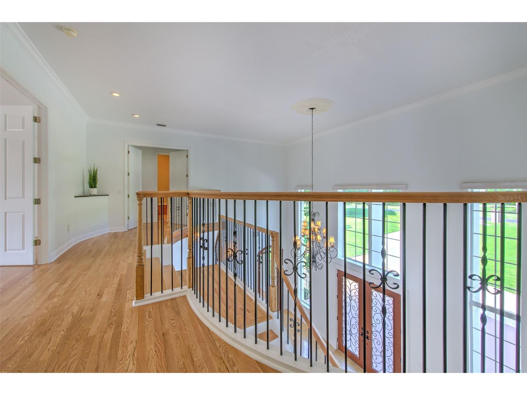 11444 Hammock Oaks Ct Lithia FL 33547 TB8526510 image56