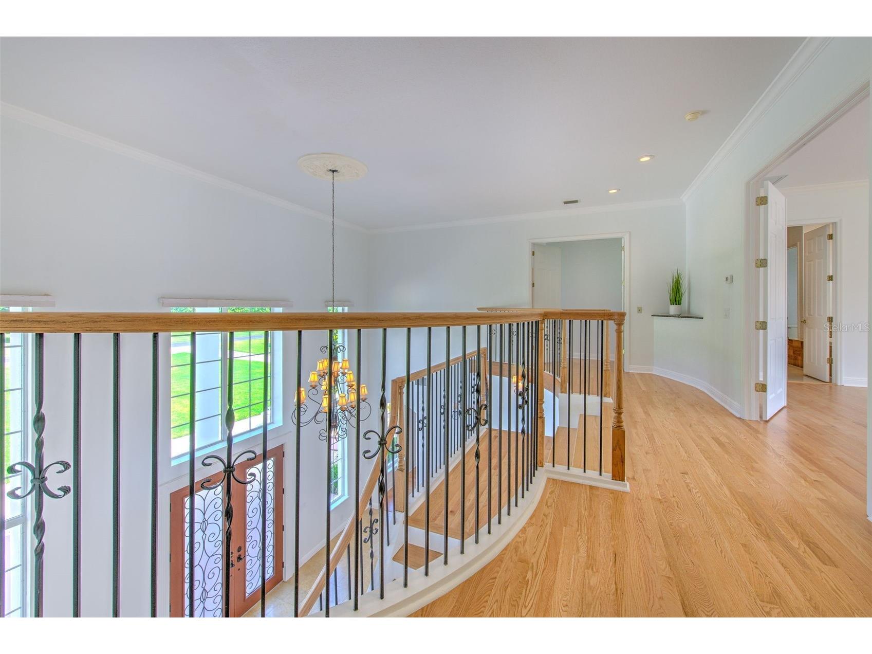 11444 Hammock Oaks Ct Lithia FL 33547 TB8526510 image57