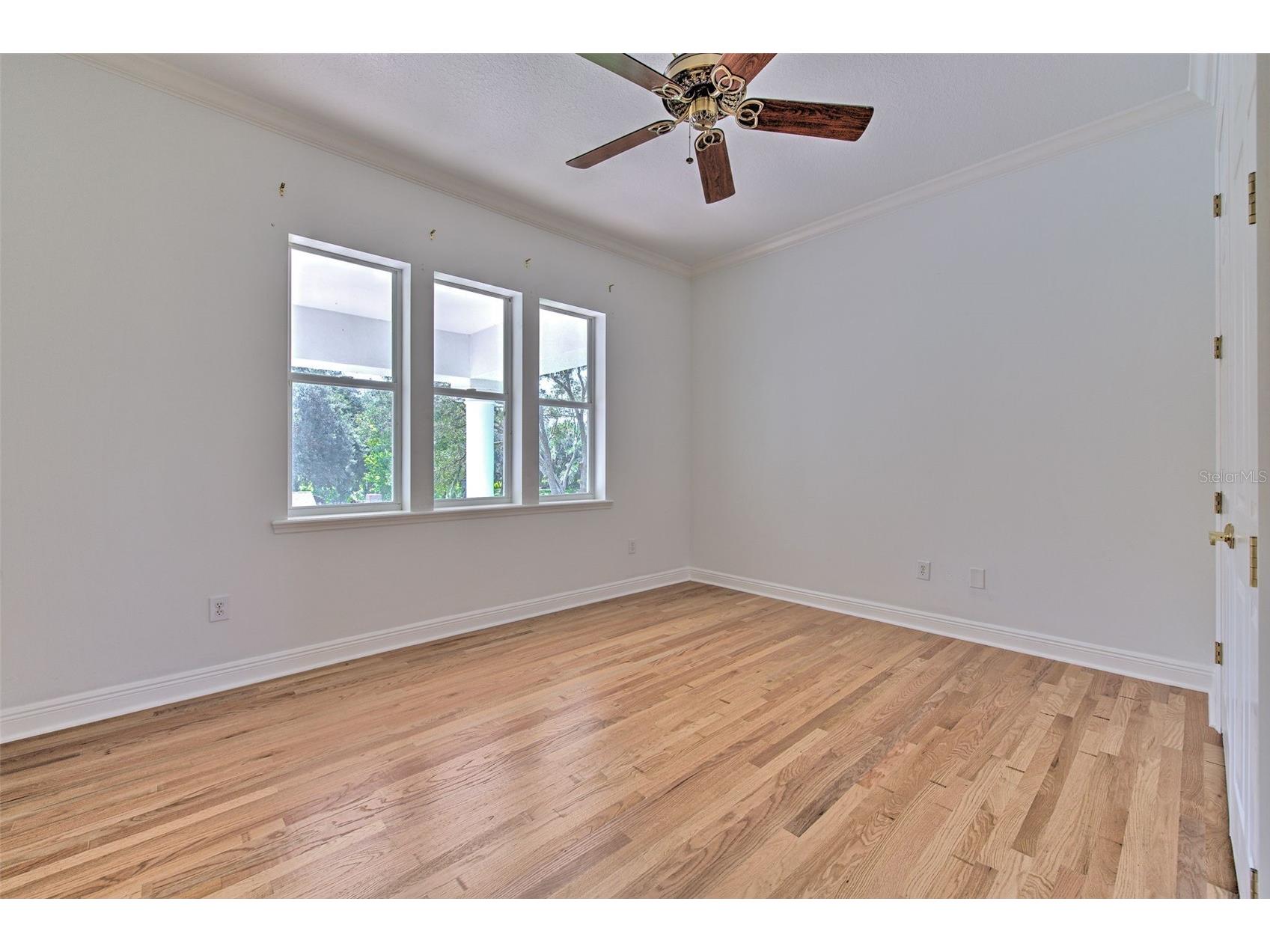 11444 Hammock Oaks Ct Lithia FL 33547 TB8526510 image60