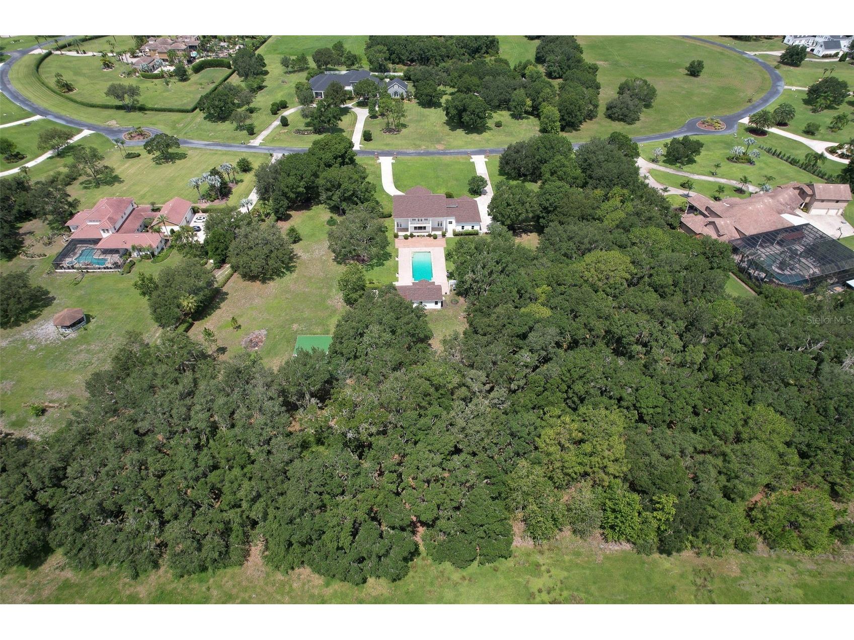 11444 Hammock Oaks Ct Lithia FL 33547 TB8526510 image70