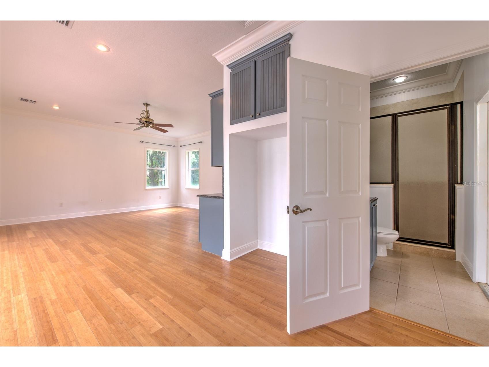 11444 Hammock Oaks Ct Lithia FL 33547 TB8526510 image80