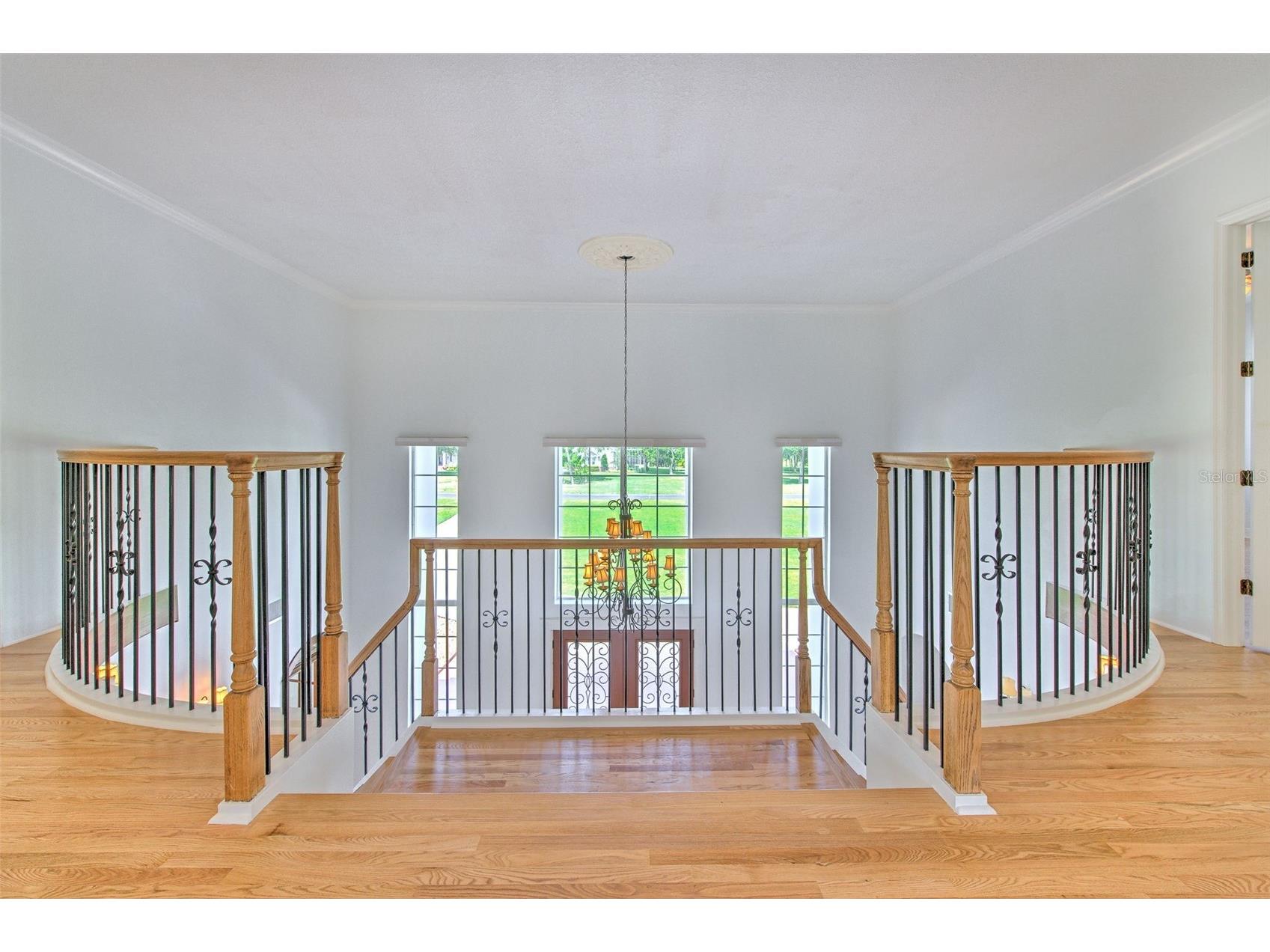 11444 Hammock Oaks Ct Lithia FL 33547 TB8526510 image9