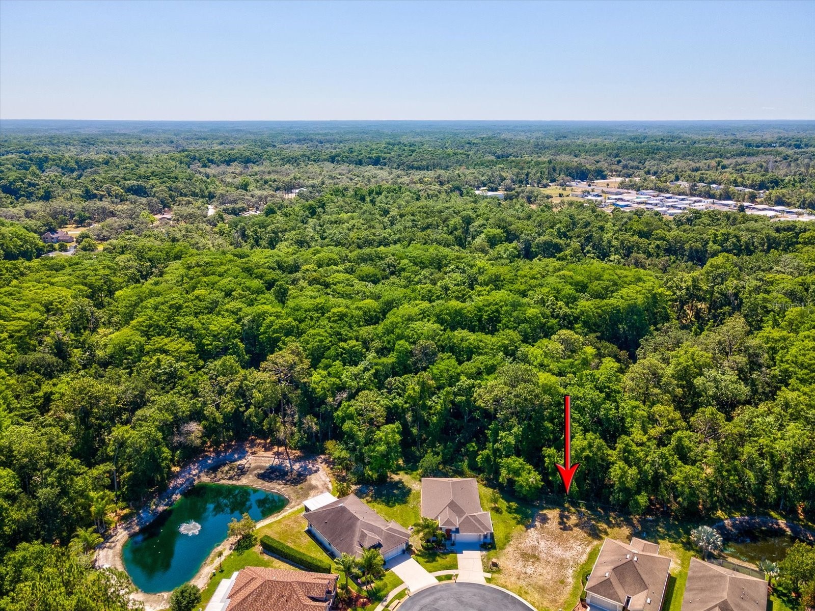11444 Merganser Way New Port Richey FL 34654 W7885594 image26