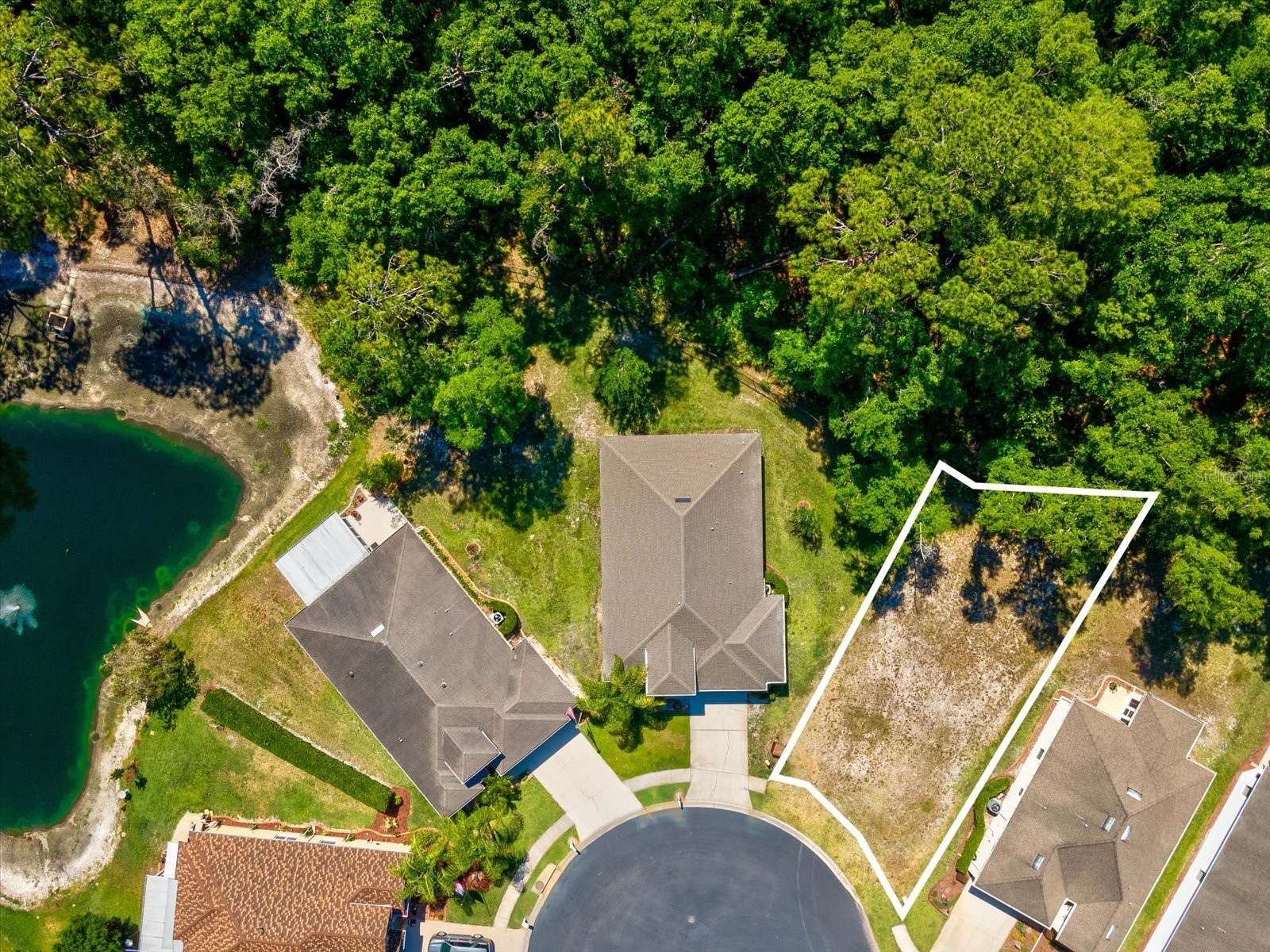 11444 Merganser Way New Port Richey FL 34654 W7885594 image3