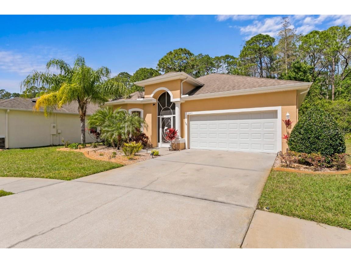 11445 Merganser Way New Port Richey FL 34654 T3512141 image1