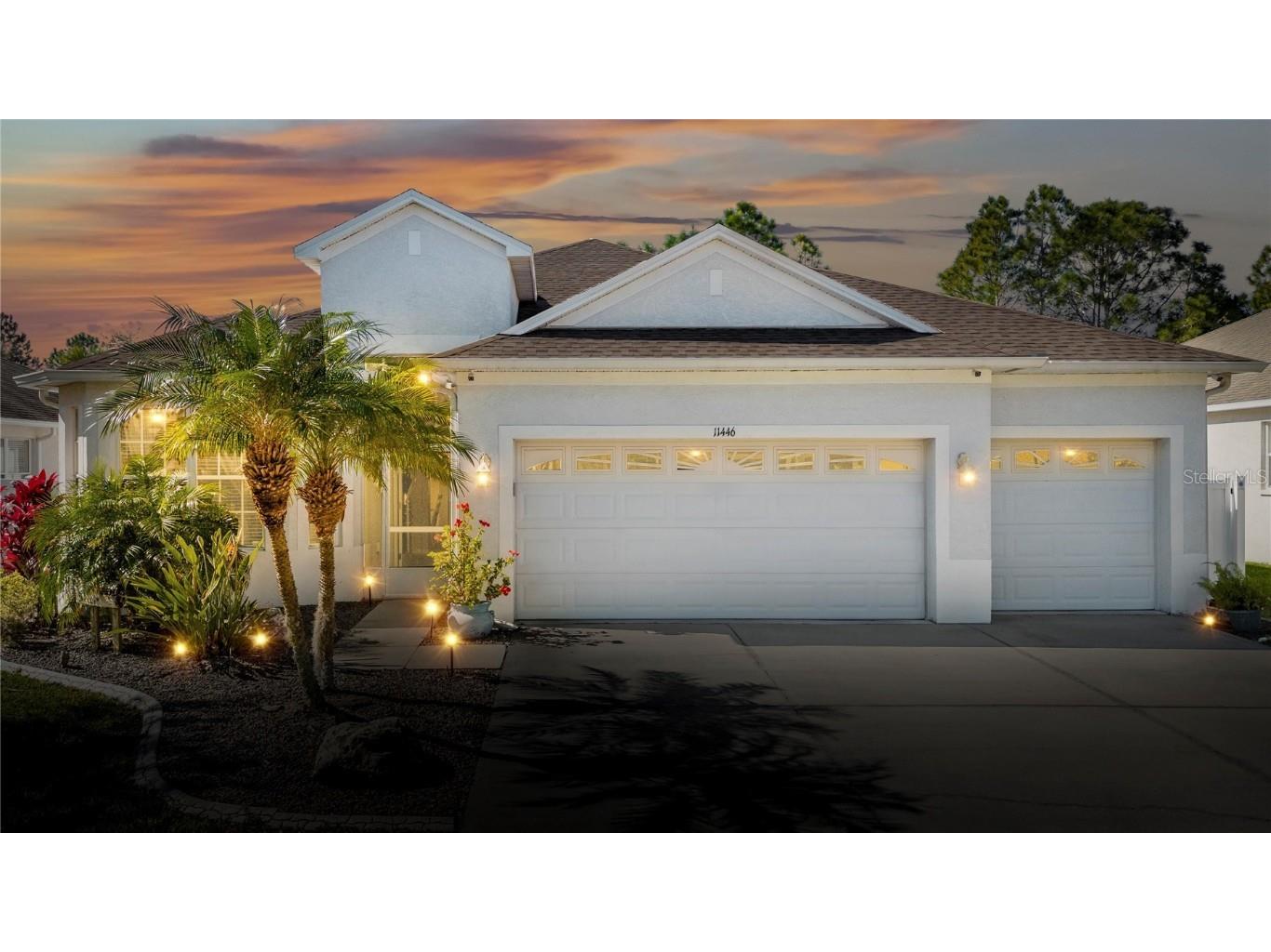 11446 Callaway Pond Drive Riverview FL 33579 T3499852 image1