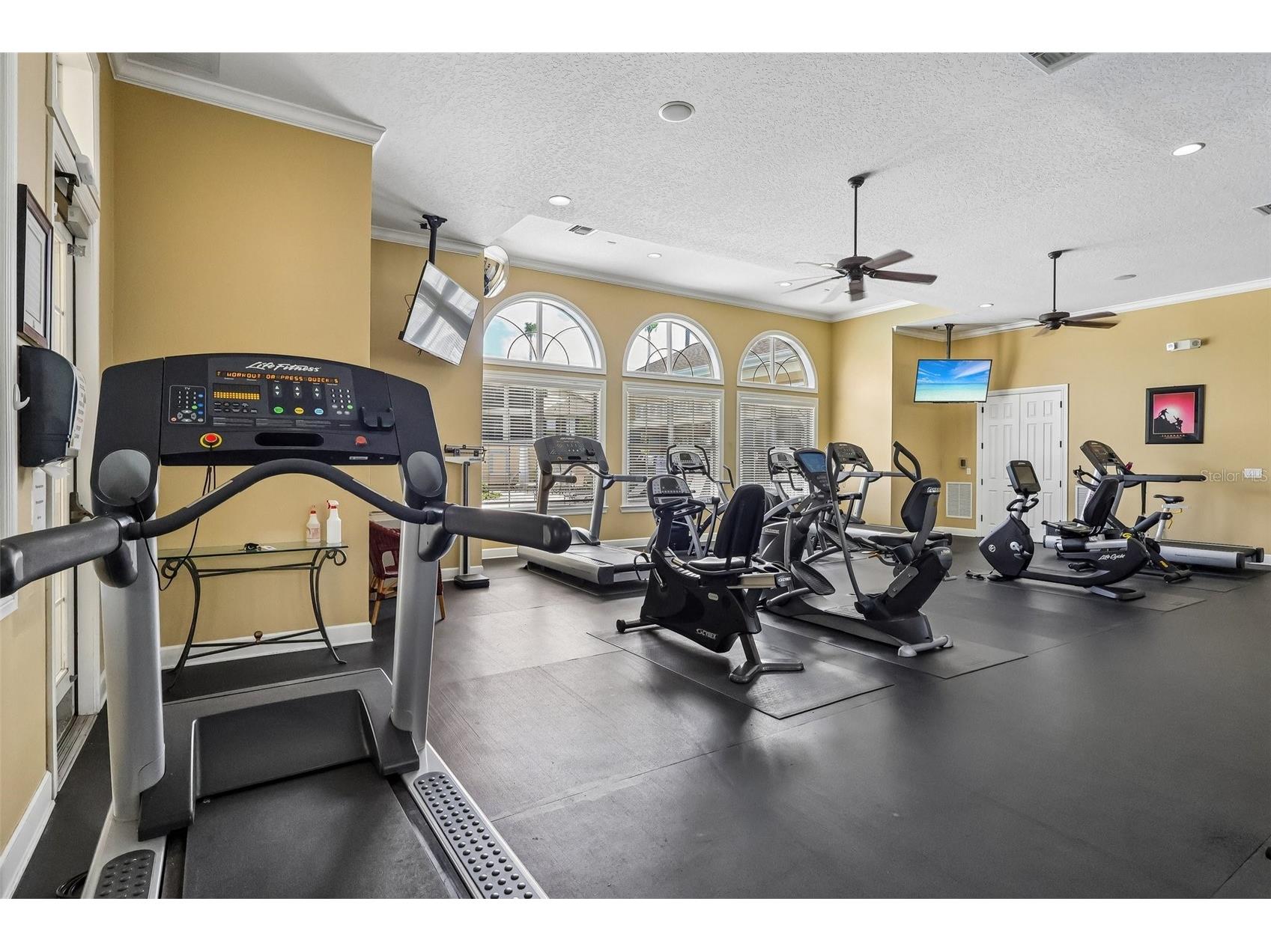 11446 Jasper Kay Terrace #103 Windermere FL 34786 O6420653 image23