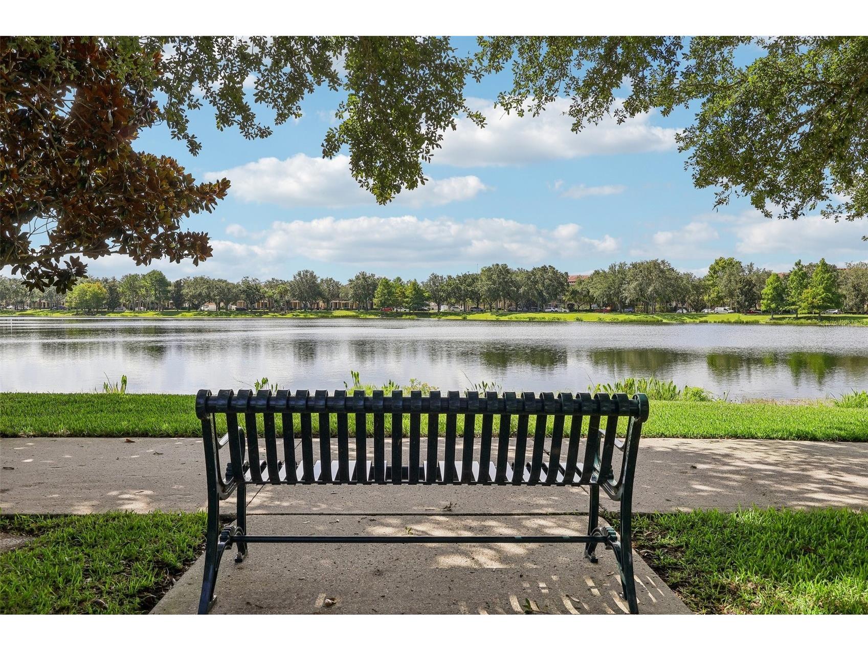11446 Jasper Kay Terrace #103 Windermere FL 34786 O6420653 image29