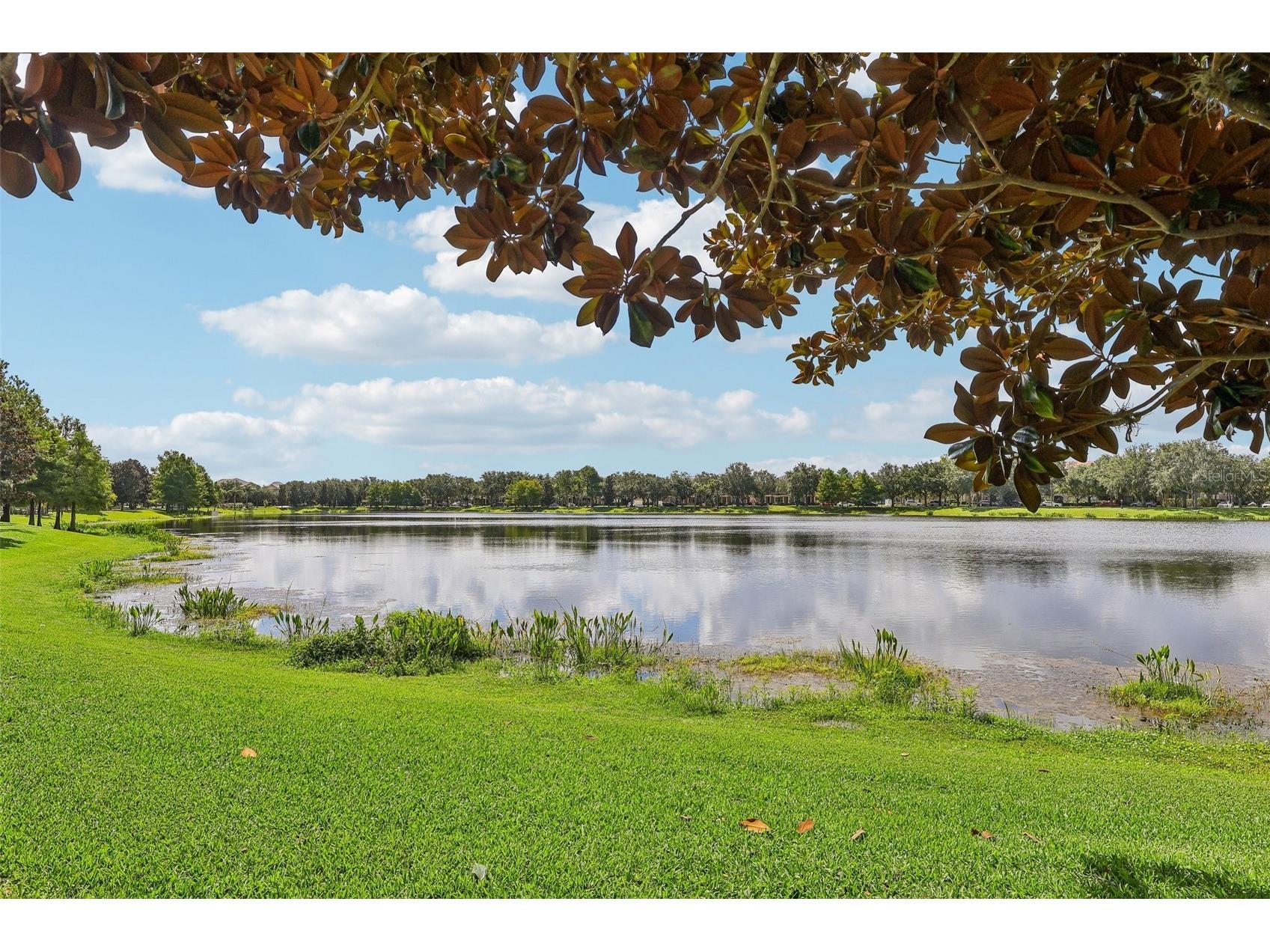11446 Jasper Kay Terrace #103 Windermere FL 34786 O6420653 image30