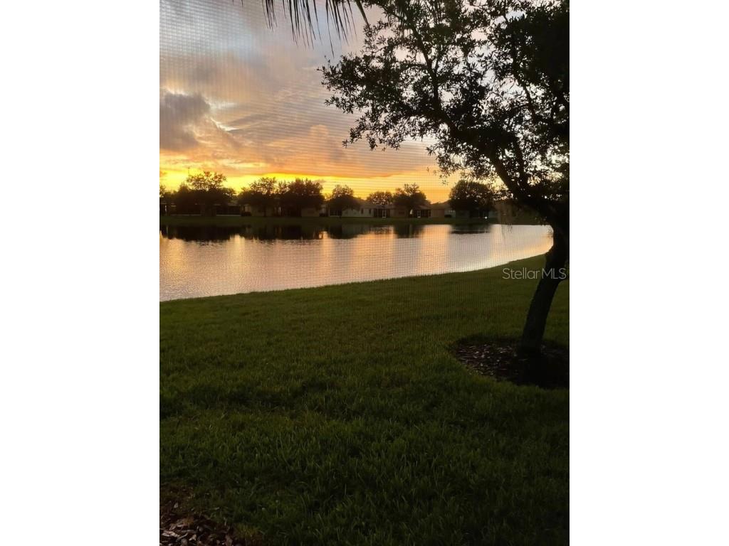 11447 Captiva Kay Drive Riverview FL 33569 TB8438802 image15