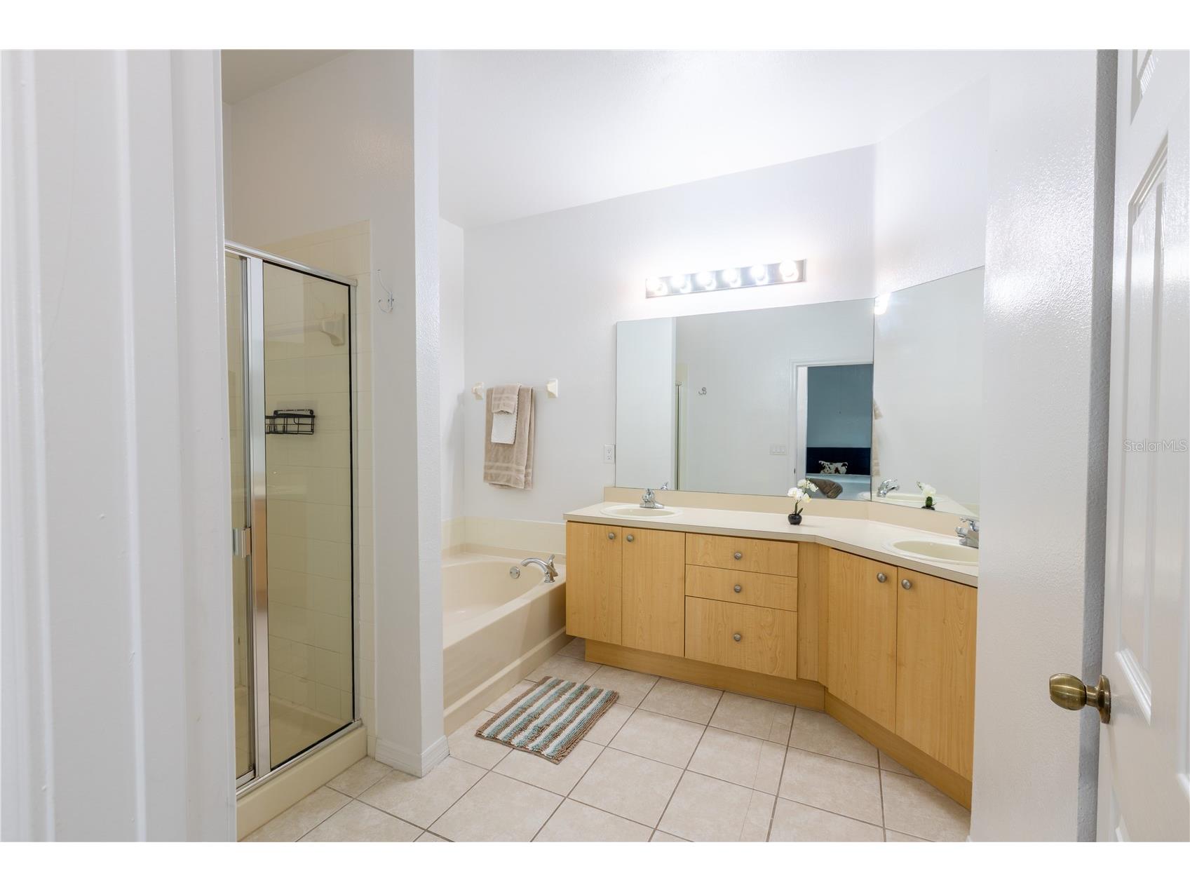 11447 Captiva Kay Drive Riverview FL 33569 TB8522531 image14