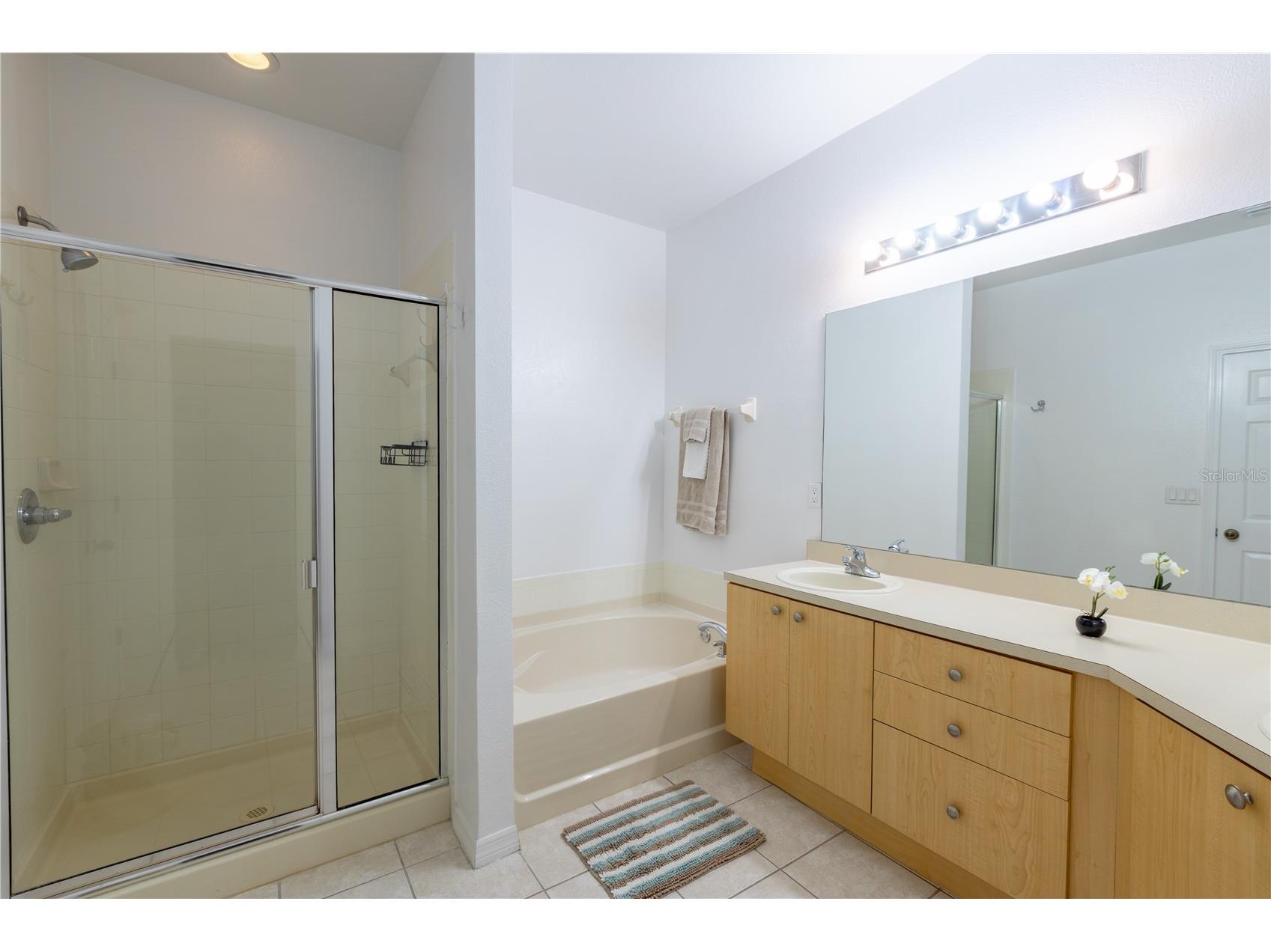 11447 Captiva Kay Drive Riverview FL 33569 TB8522531 image15