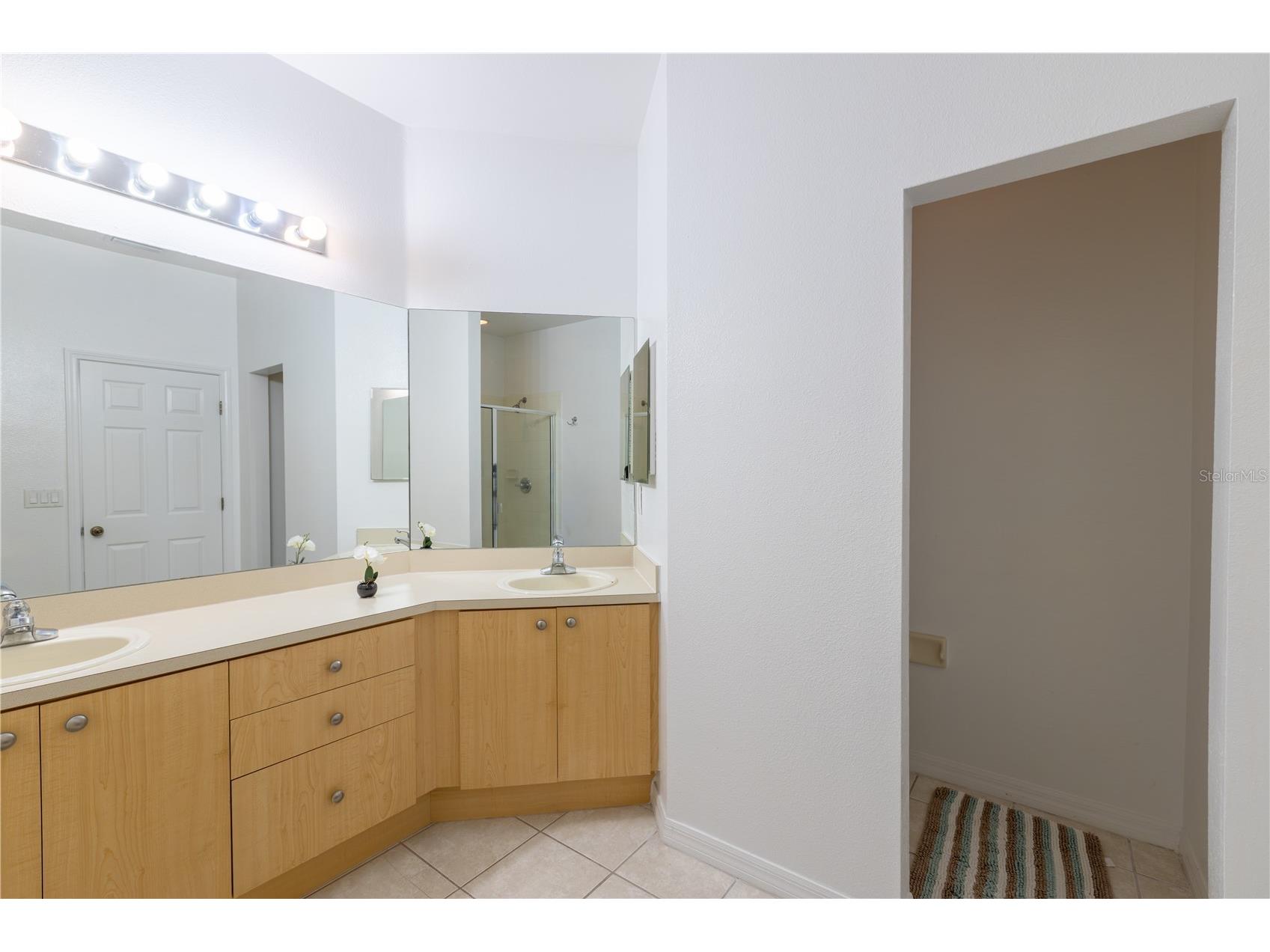 11447 Captiva Kay Drive Riverview FL 33569 TB8522531 image16