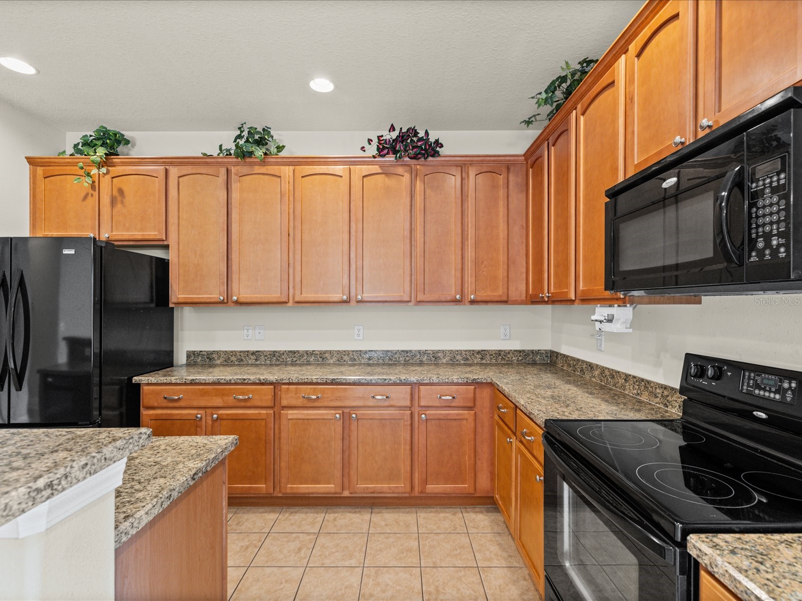 11448 Merganser Way New Port Richey FL 34654 W7885593 image10