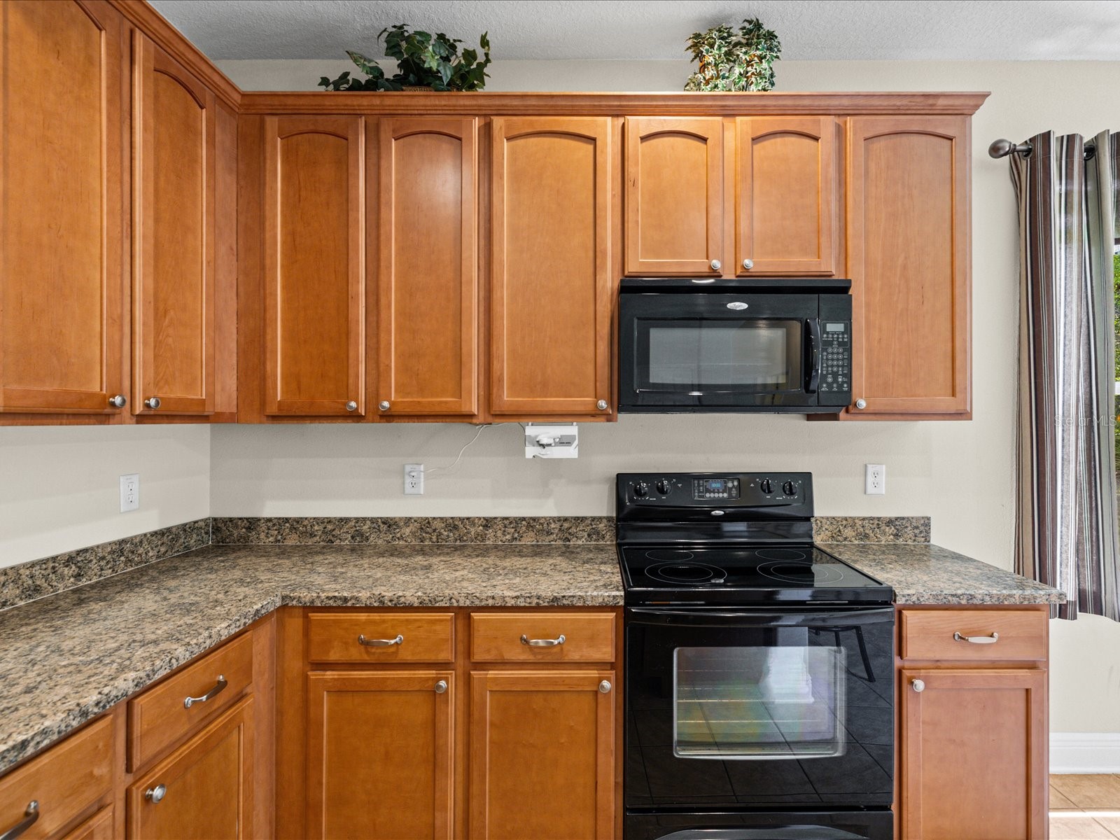 11448 Merganser Way New Port Richey FL 34654 W7885593 image11
