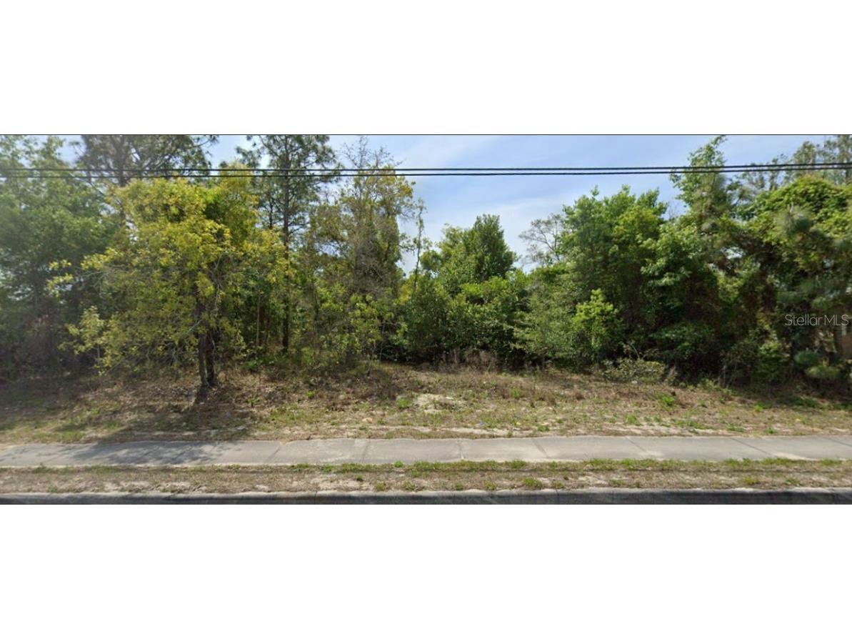 11448 Spring Hill Drive Spring Hill FL 34609 T3395203 image1