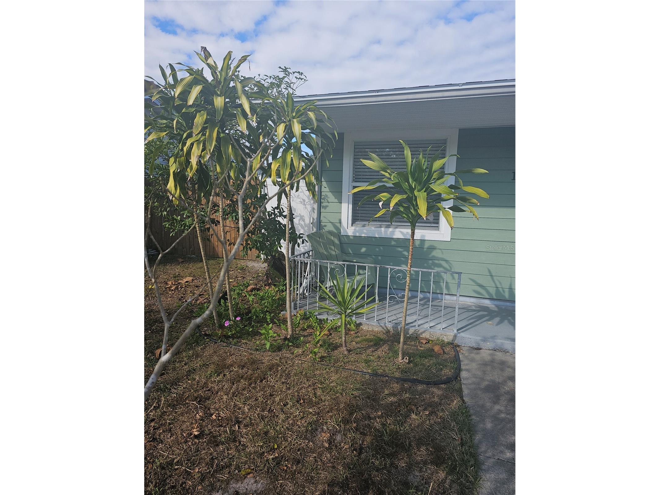 1145 54th Avenue N Saint Petersburg FL 33703 TB8419516 image3