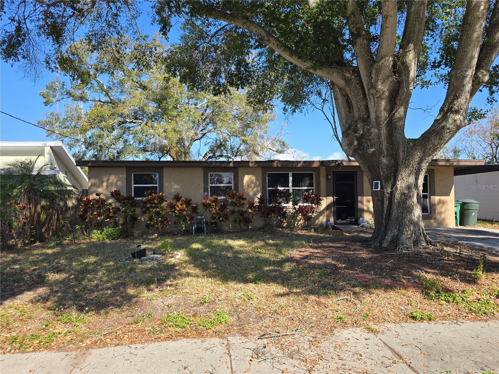 1145 7th Street N Safety Harbor FL 34695 TB8467674 image1