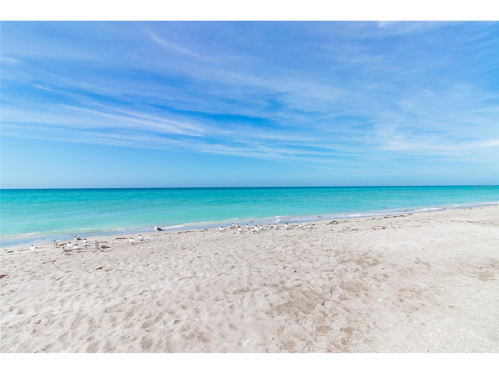 1145 Gulf Of Mexico Drive #401 Longboat Key FL 34228 - GULF OF MEXICO A4678330 image34