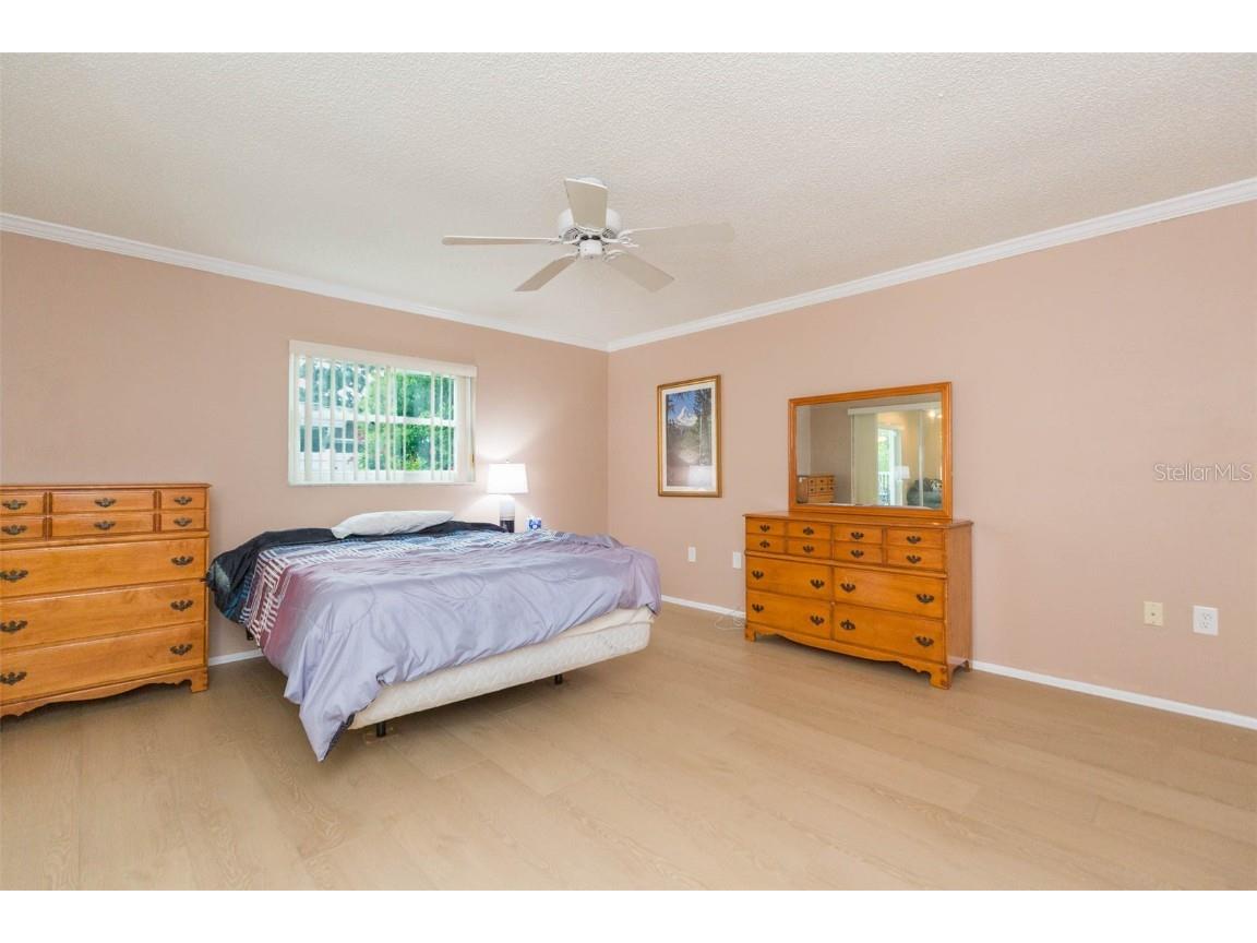 1145 Lanyard Street Palm Harbor FL 34685 TB8421694 image28