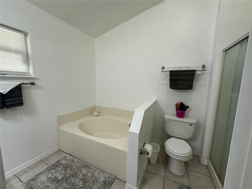 1145 Orne Court Kissimmee FL 34759 S5134544 image14