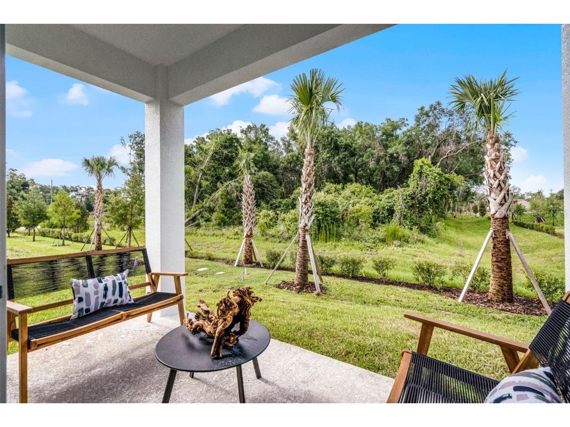 1145 Red Buckeye Court Deland FL 32720 W7879760 image20