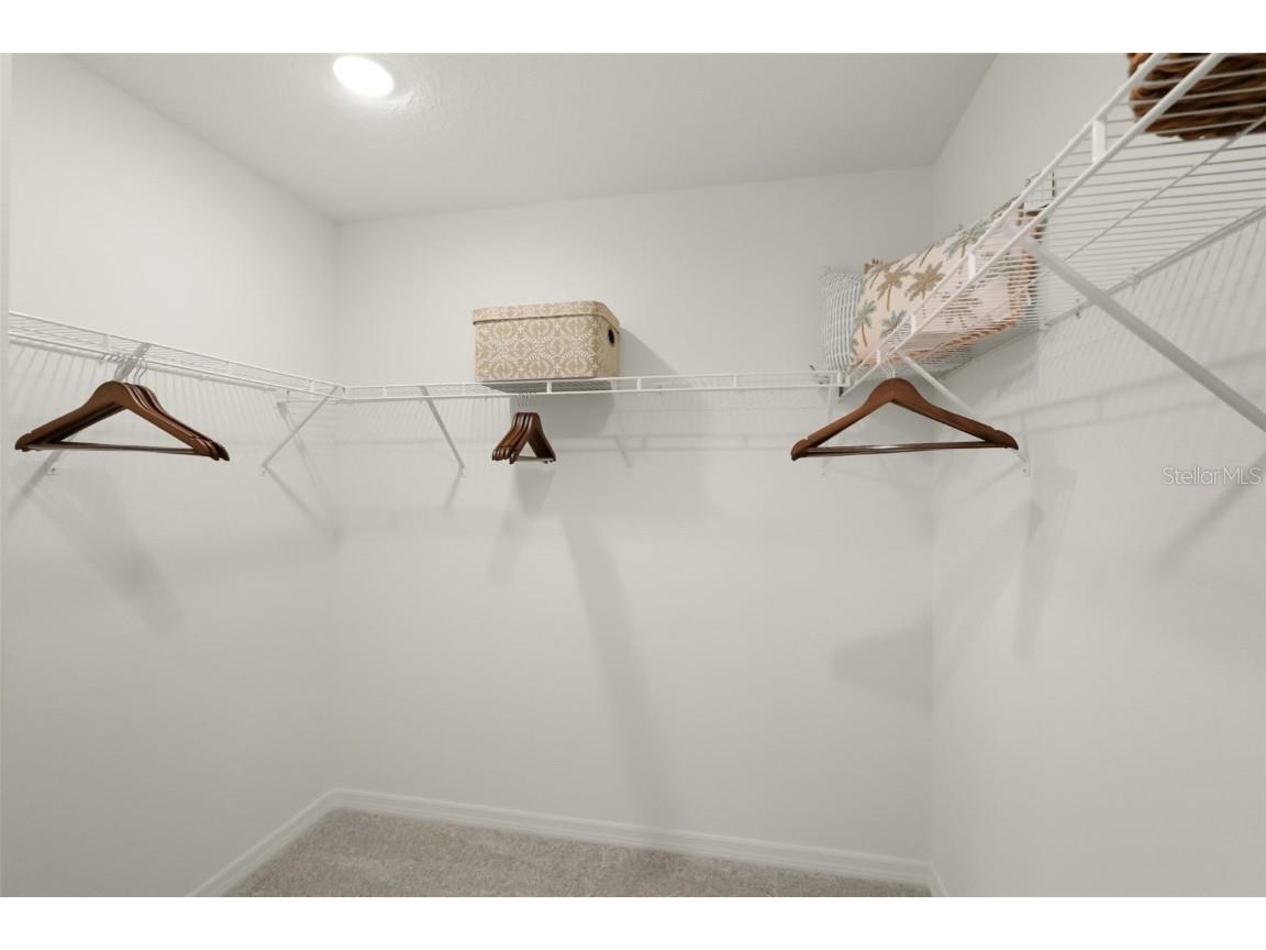 1145 Red Buckeye Court Deland FL 32720 W7879760 image61