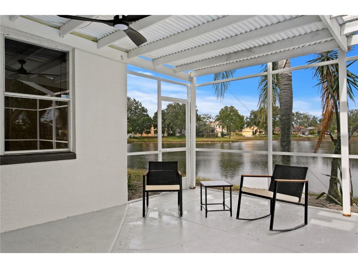 1145 Riveredge Drive Tarpon Springs FL 34689 TB8447855 image24