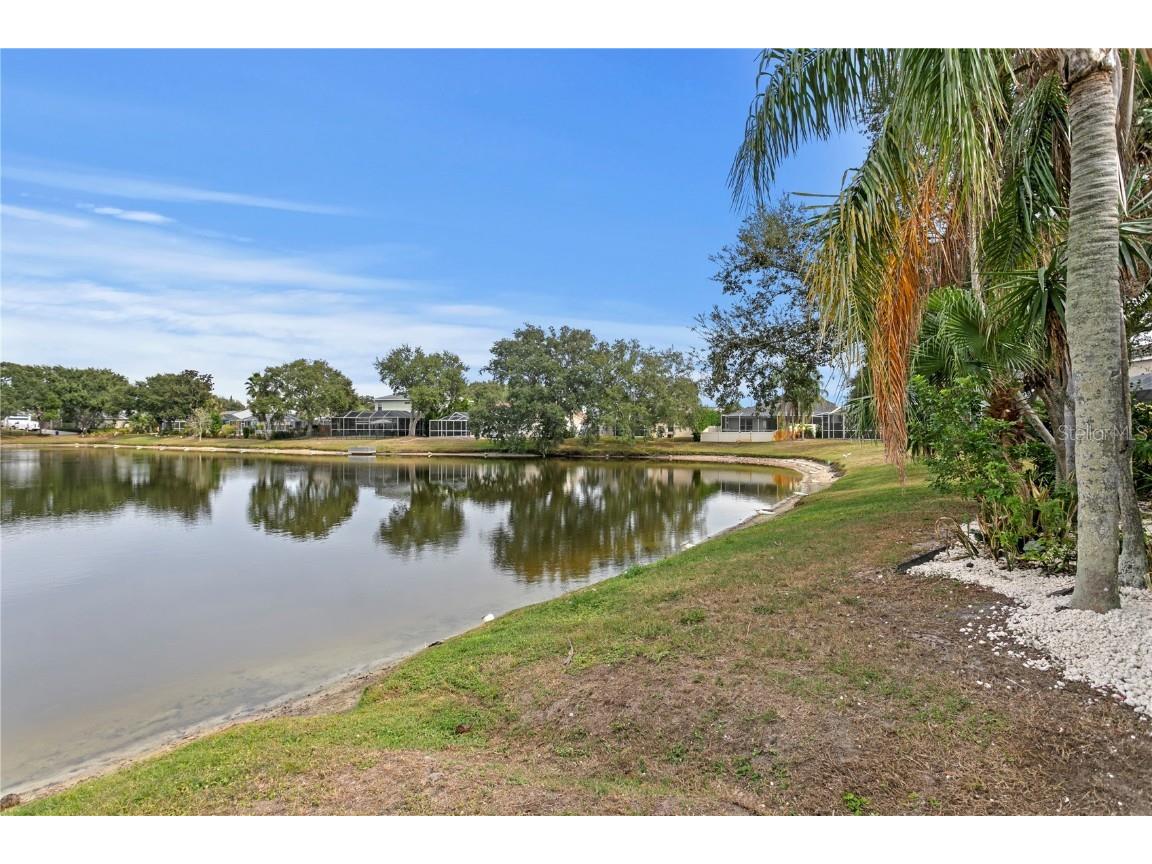 1145 Riveredge Drive Tarpon Springs FL 34689 TB8447855 image46