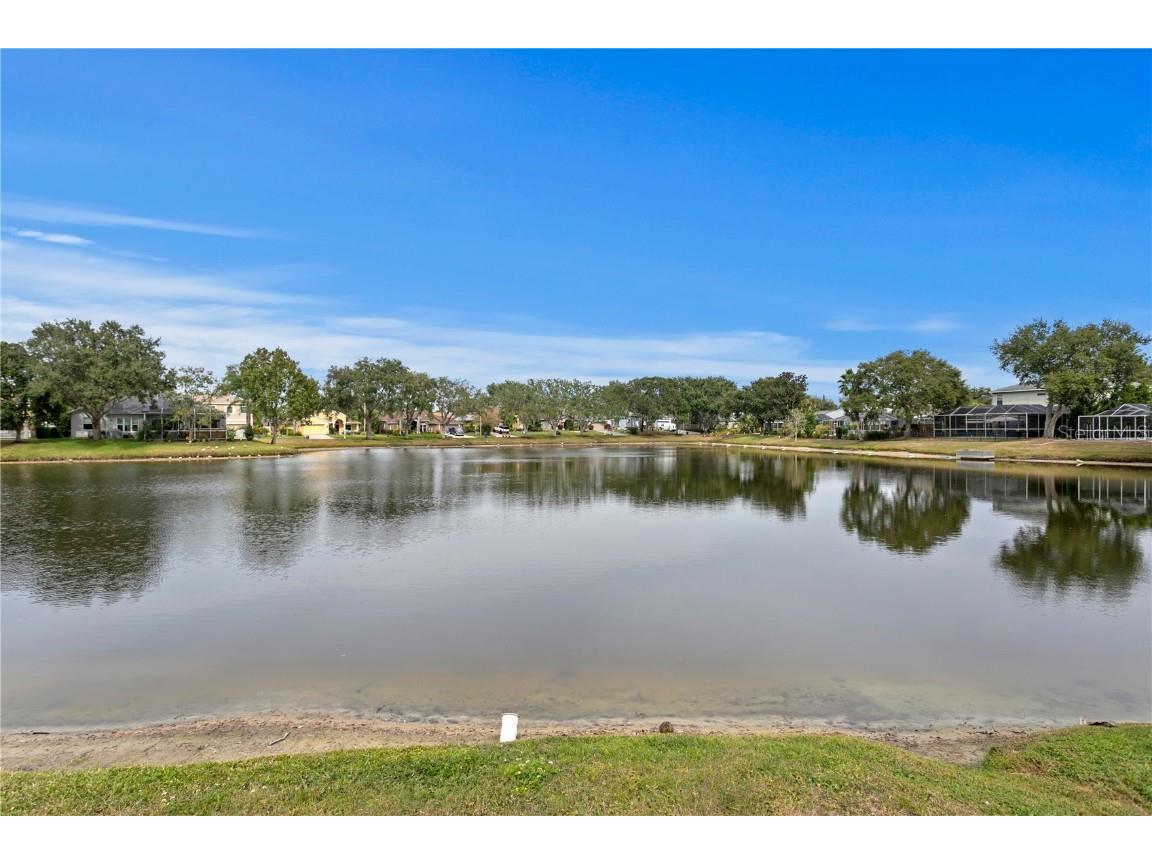 1145 Riveredge Drive Tarpon Springs FL 34689 TB8447855 image47