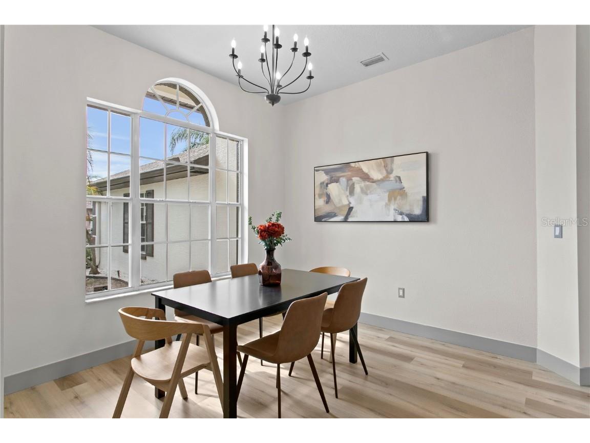 1145 Riveredge Drive Tarpon Springs FL 34689 TB8447855 image9