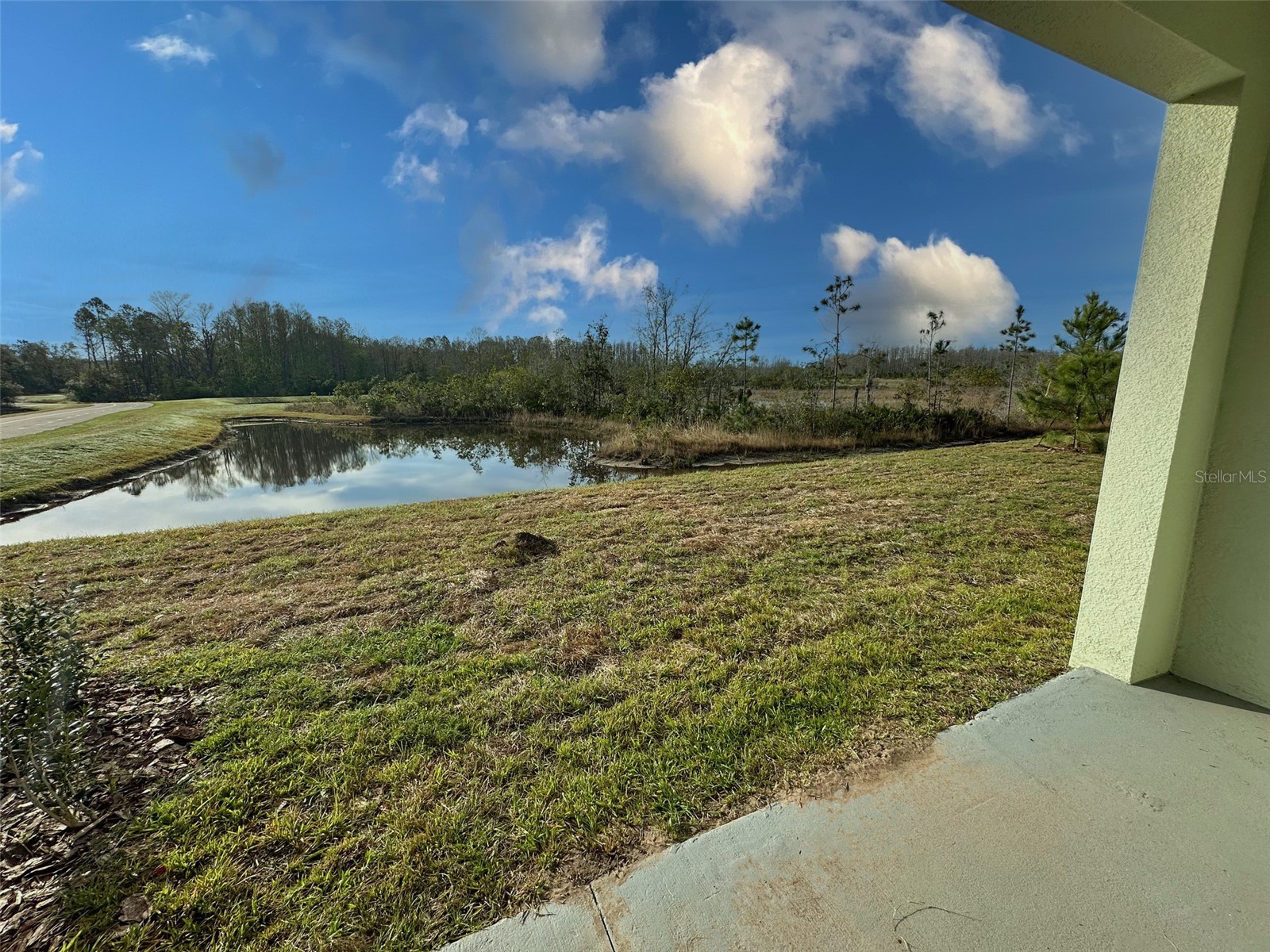 11450 Crescent Deer Drive Land O Lakes FL 34638 TB8513893 image23