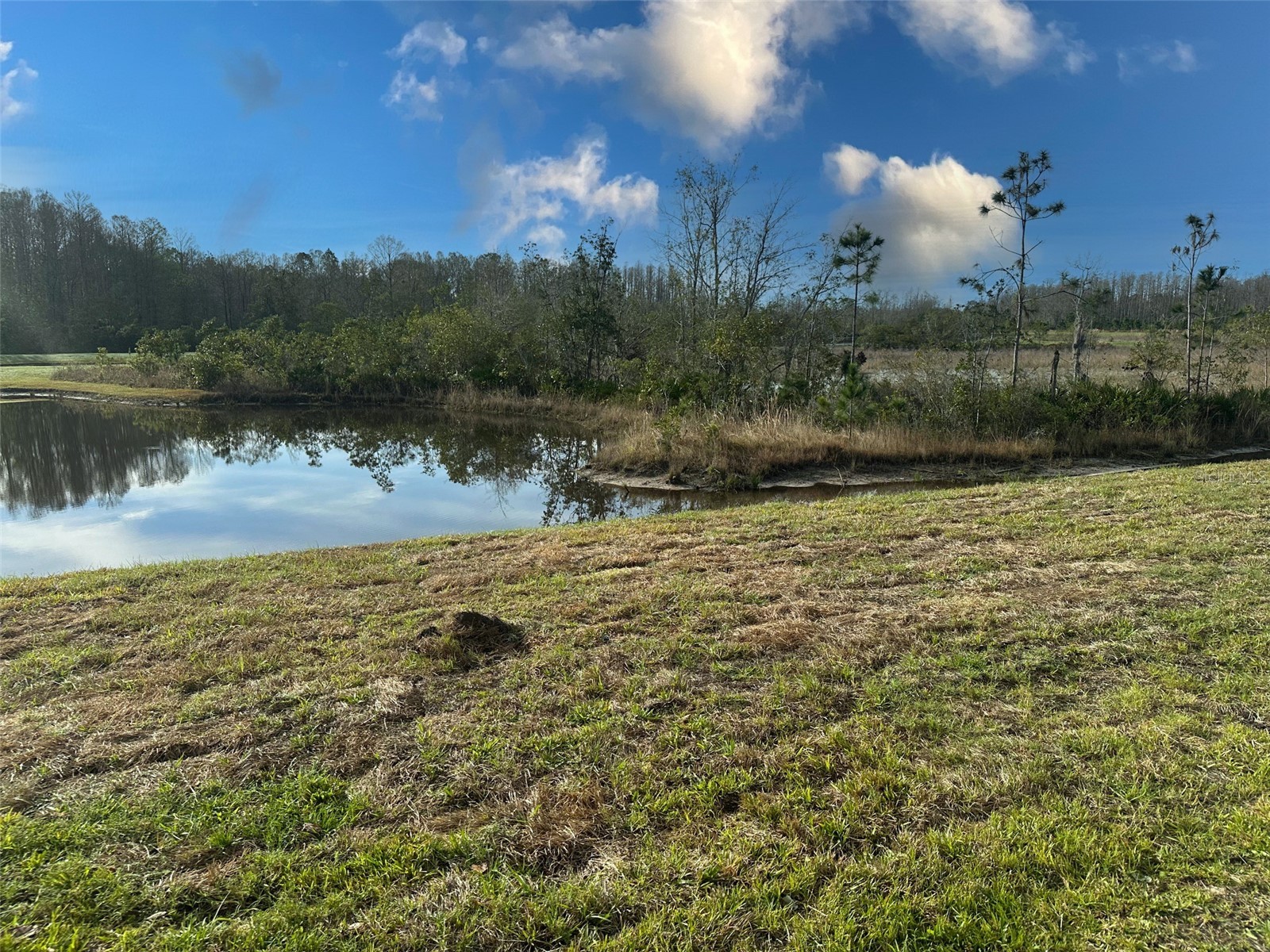 11450 Crescent Deer Drive Land O Lakes FL 34638 TB8513893 image24