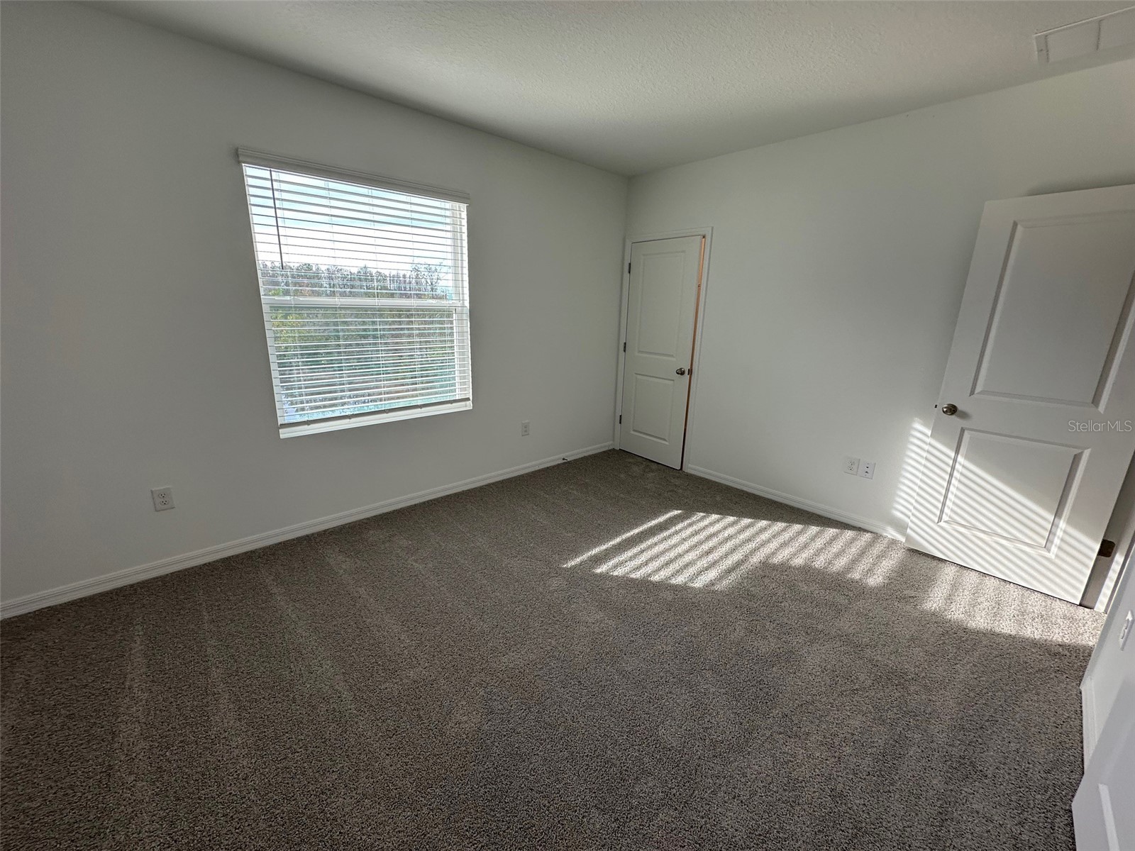 11450 Crescent Deer Drive Land O Lakes FL 34638 TB8513893 image34
