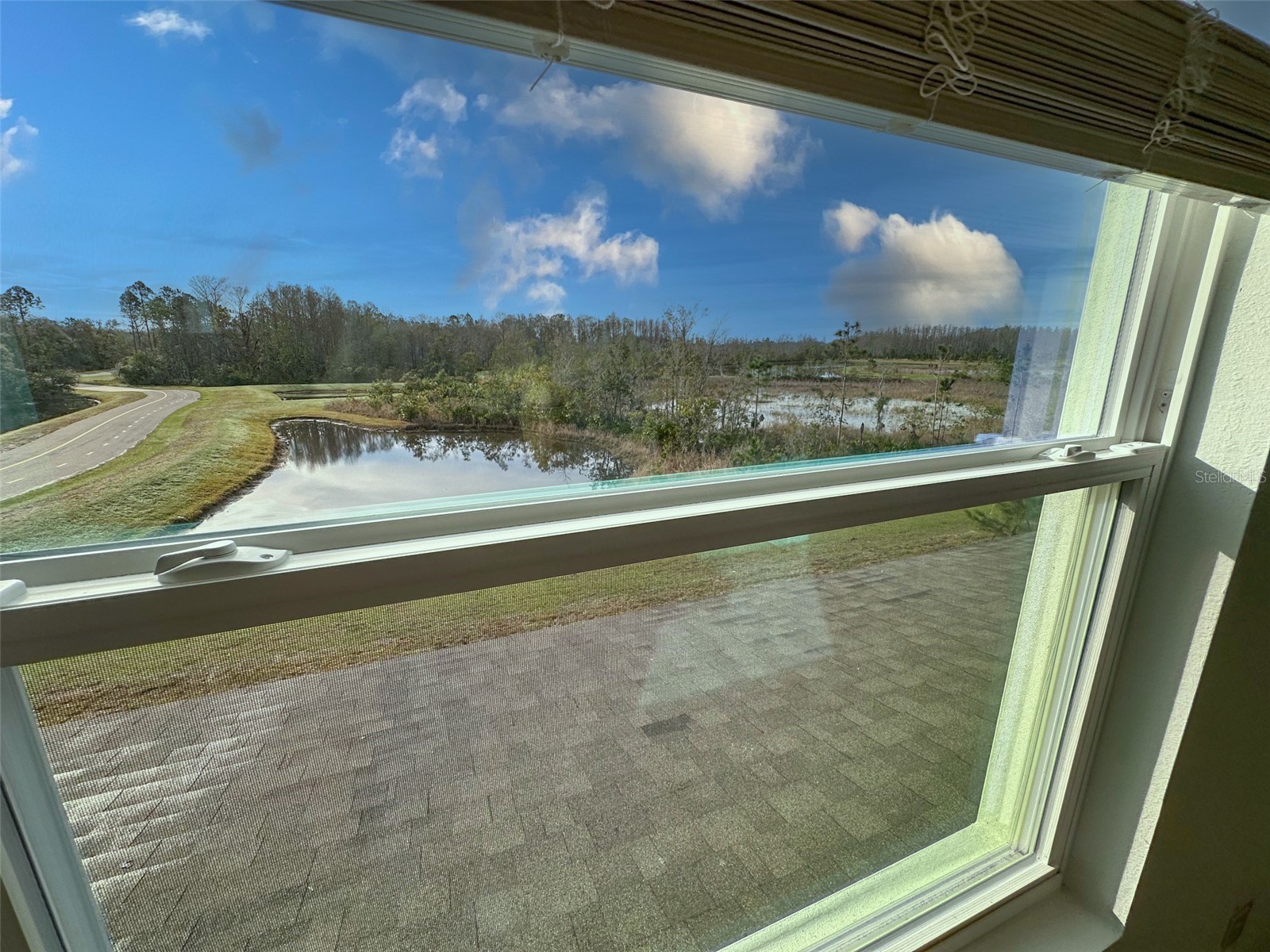 11450 Crescent Deer Drive Land O Lakes FL 34638 TB8513893 image36