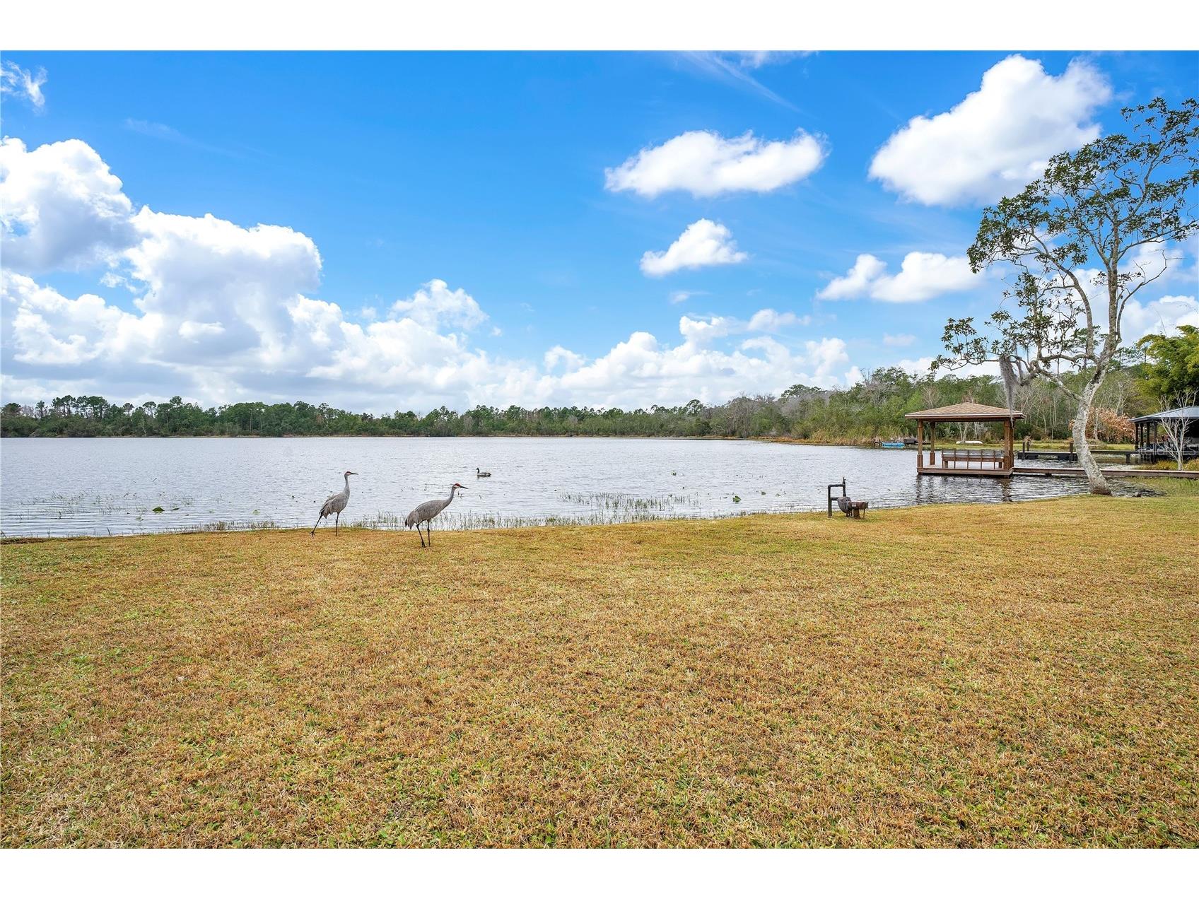 11450 Fangorn Road Orlando FL 32825 - LAKE KEHOE O6377245 image53