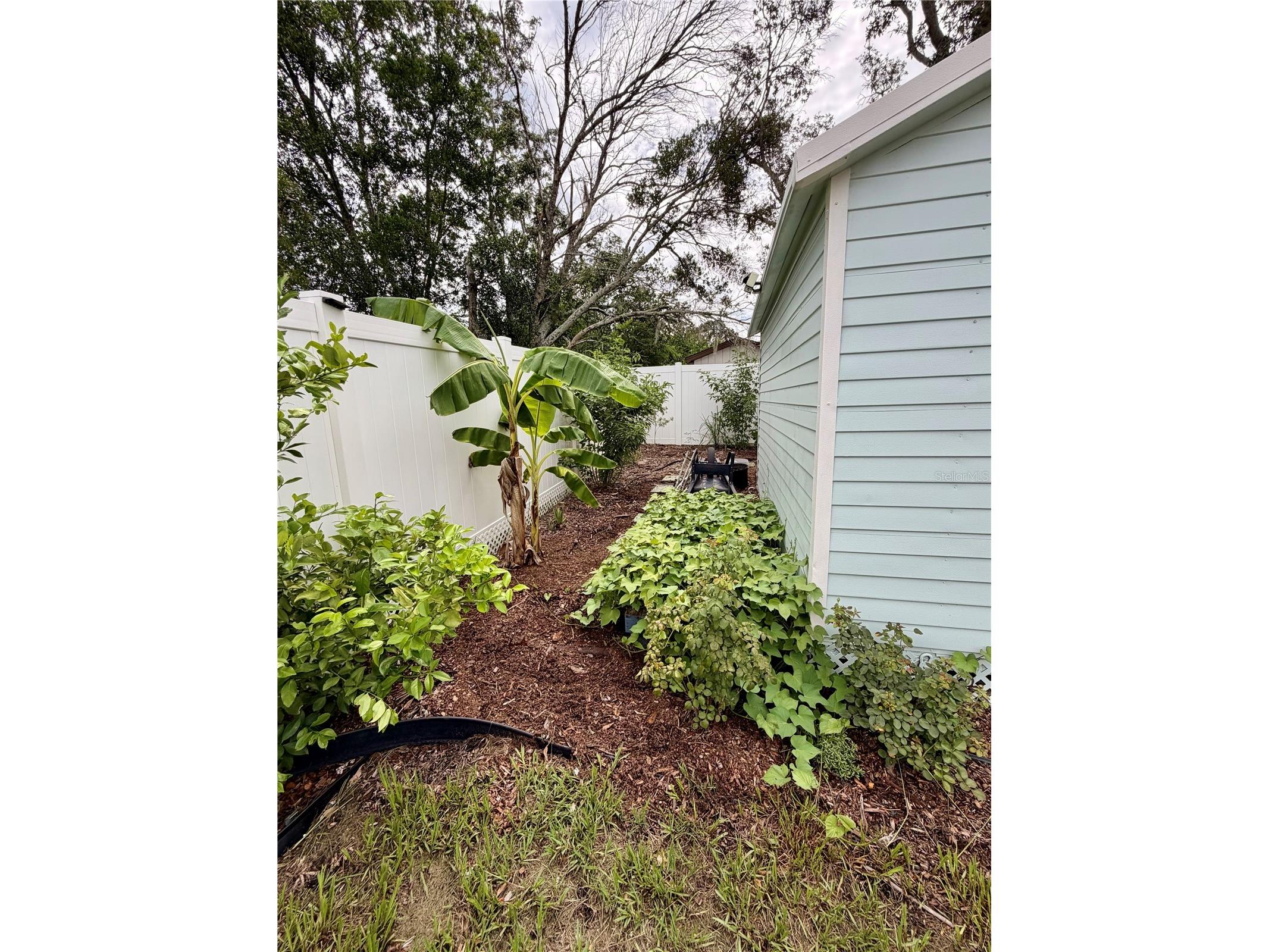 11450 Linden Drive Spring Hill FL 34608 TB8530599 image77