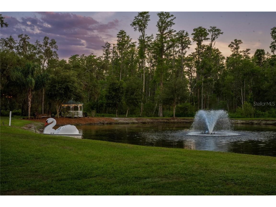 11450 Nellie Oaks Bend Clermont FL 34711 - LAKE LOUISA O6293634 image28