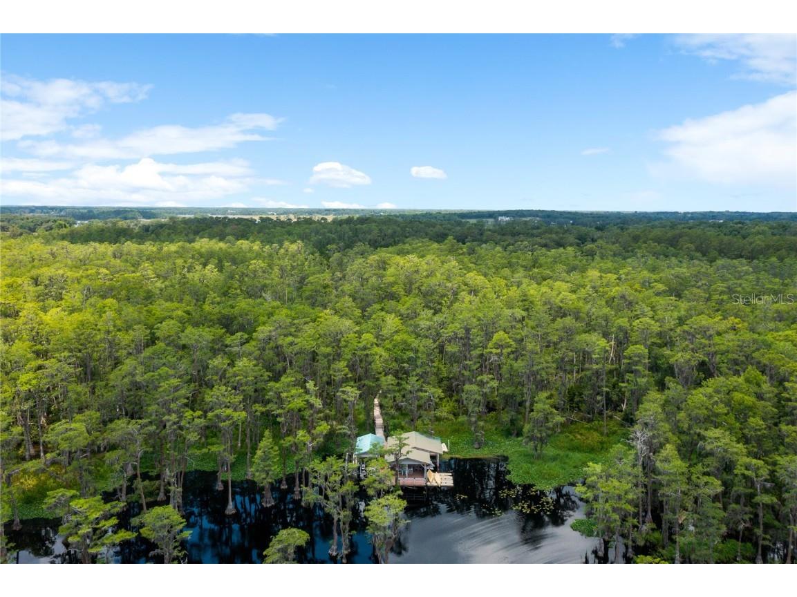 11450 Nellie Oaks Bend Clermont FL 34711 - LAKE LOUISA O6346509 image10