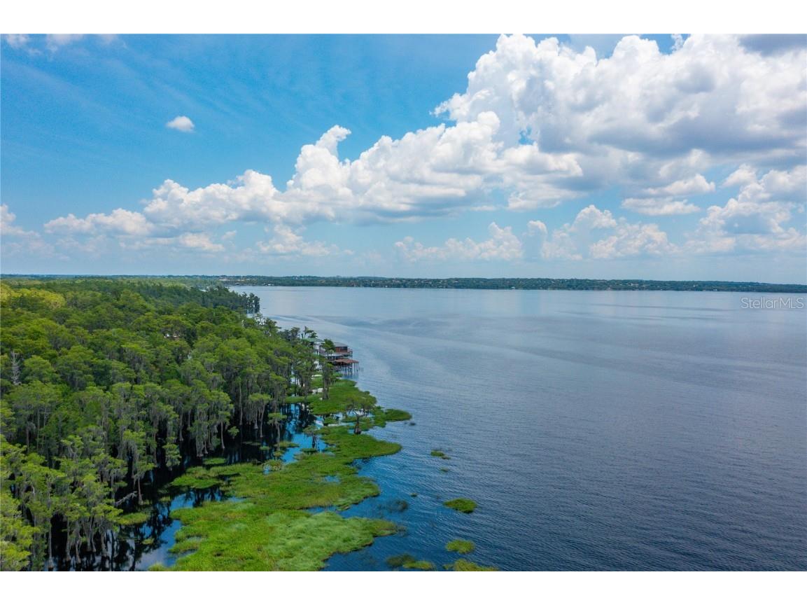 11450 Nellie Oaks Bend Clermont FL 34711 - LAKE LOUISA O6346509 image11