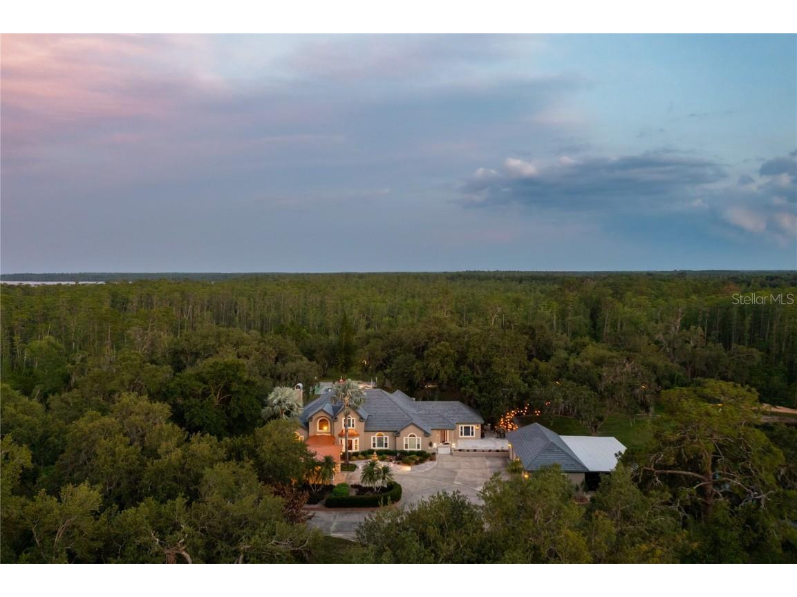 11450 Nellie Oaks Bend Clermont FL 34711 - LAKE LOUISA O6346509 image14