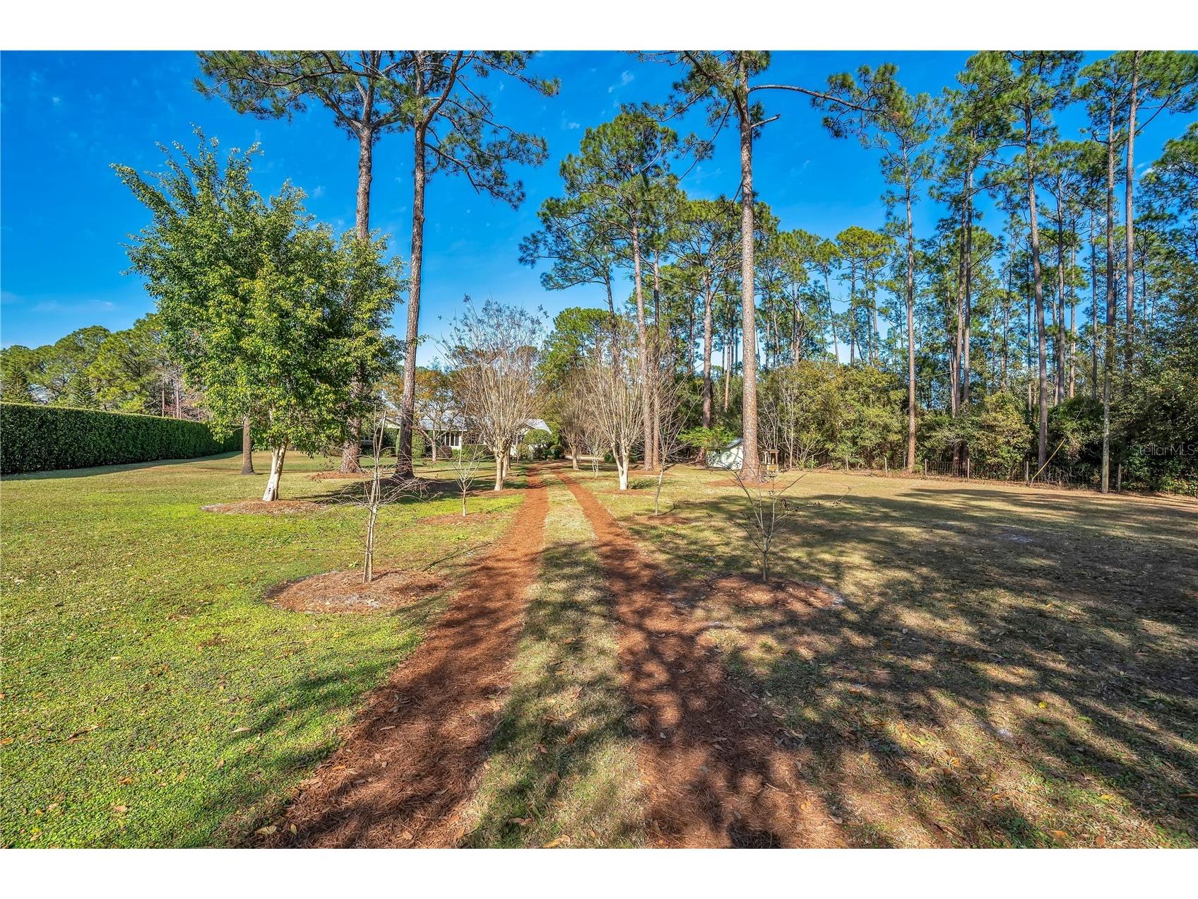 11451 Fangorn Road Orlando FL 32825 O6378632 image3