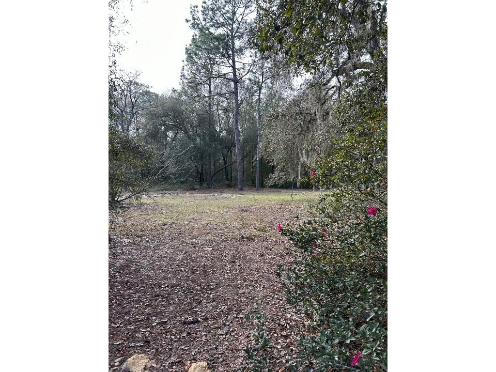 11451 NE 100th Terrace Archer FL 32618 GC510869 image1