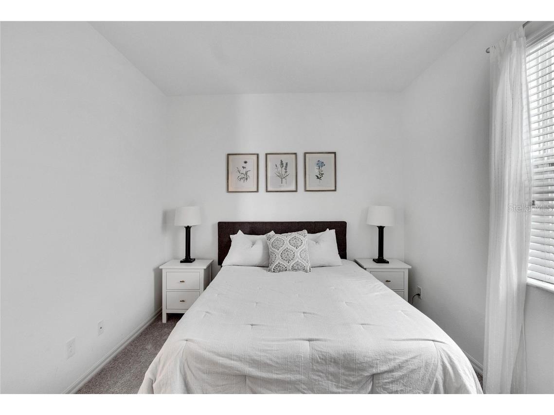 11453 Green Harvest Dr Drive Riverview FL 33578 TB8427101 image10